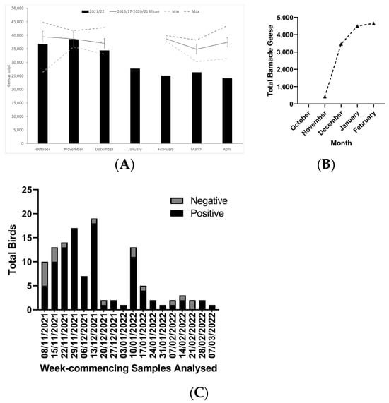 Pathogens 13 00083 g002