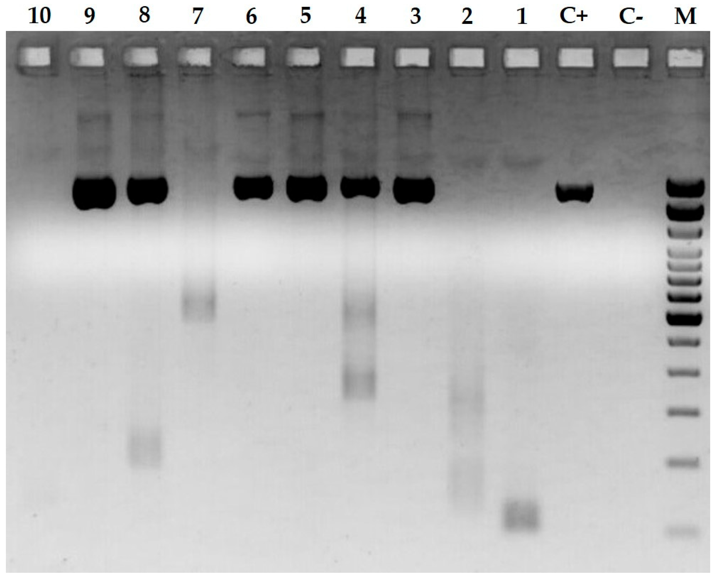 Pathogens 13 00085 g002