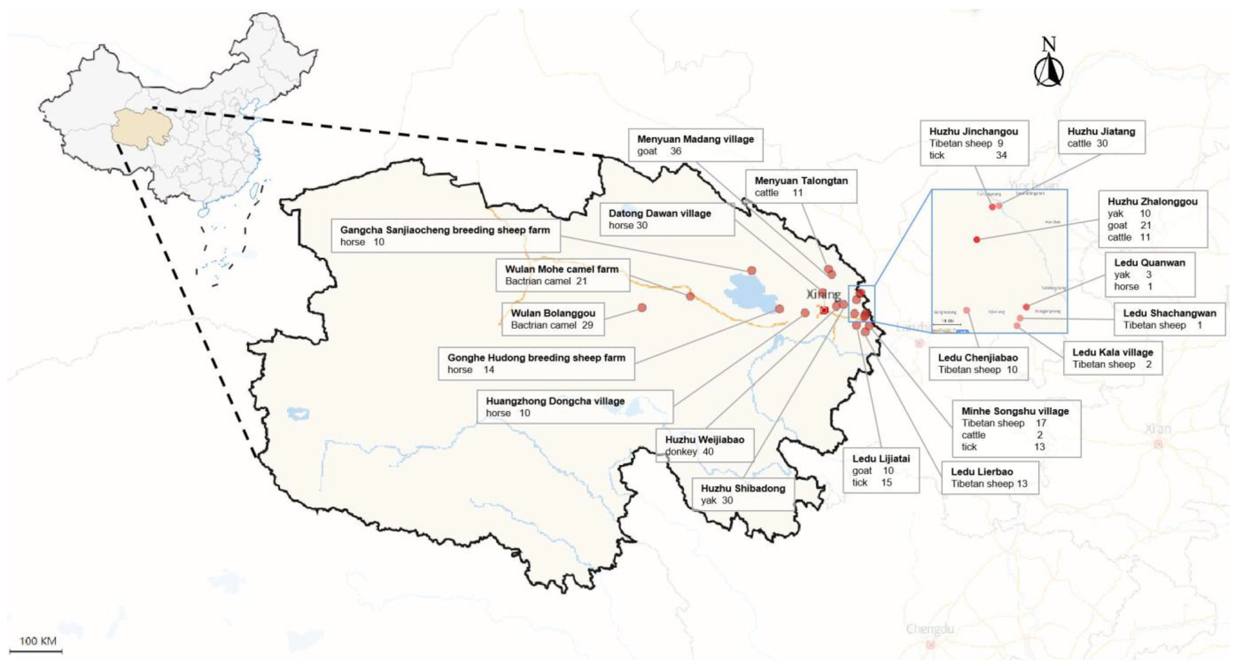 Pathogens 13 00086 g001