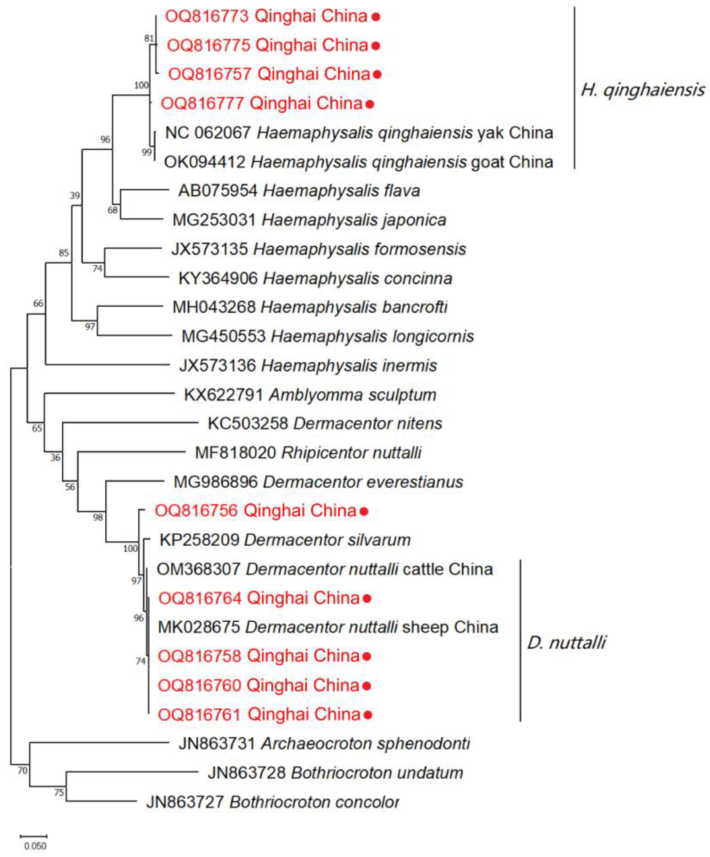 Pathogens 13 00086 g003