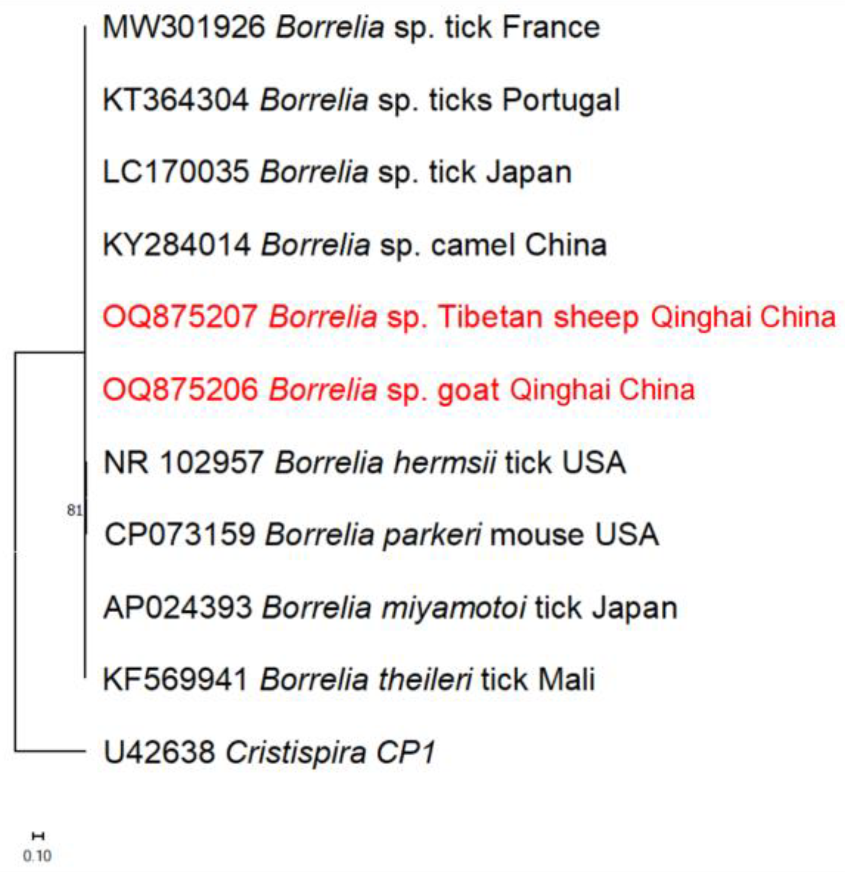 Pathogens 13 00086 g005
