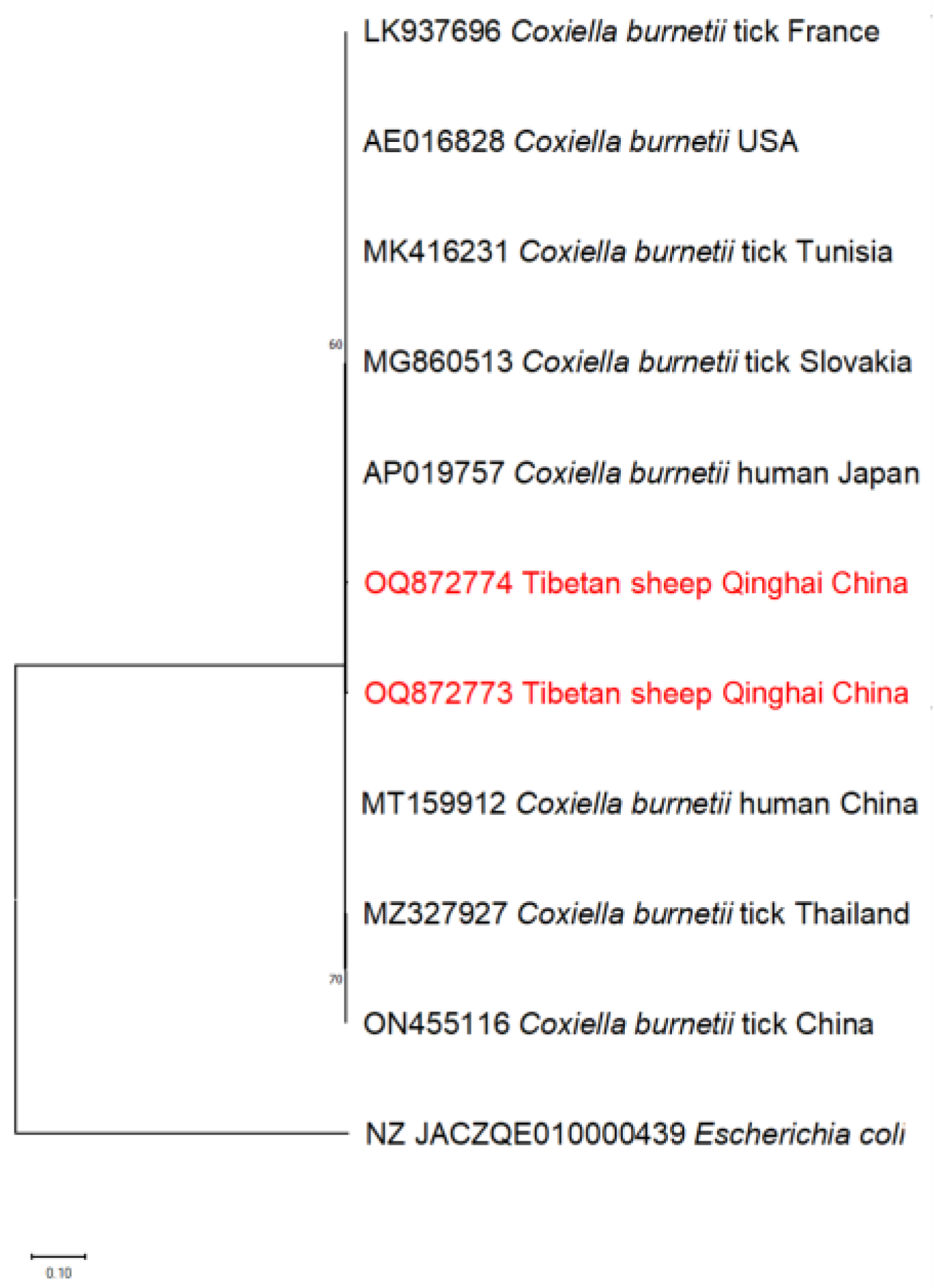 Pathogens 13 00086 g007