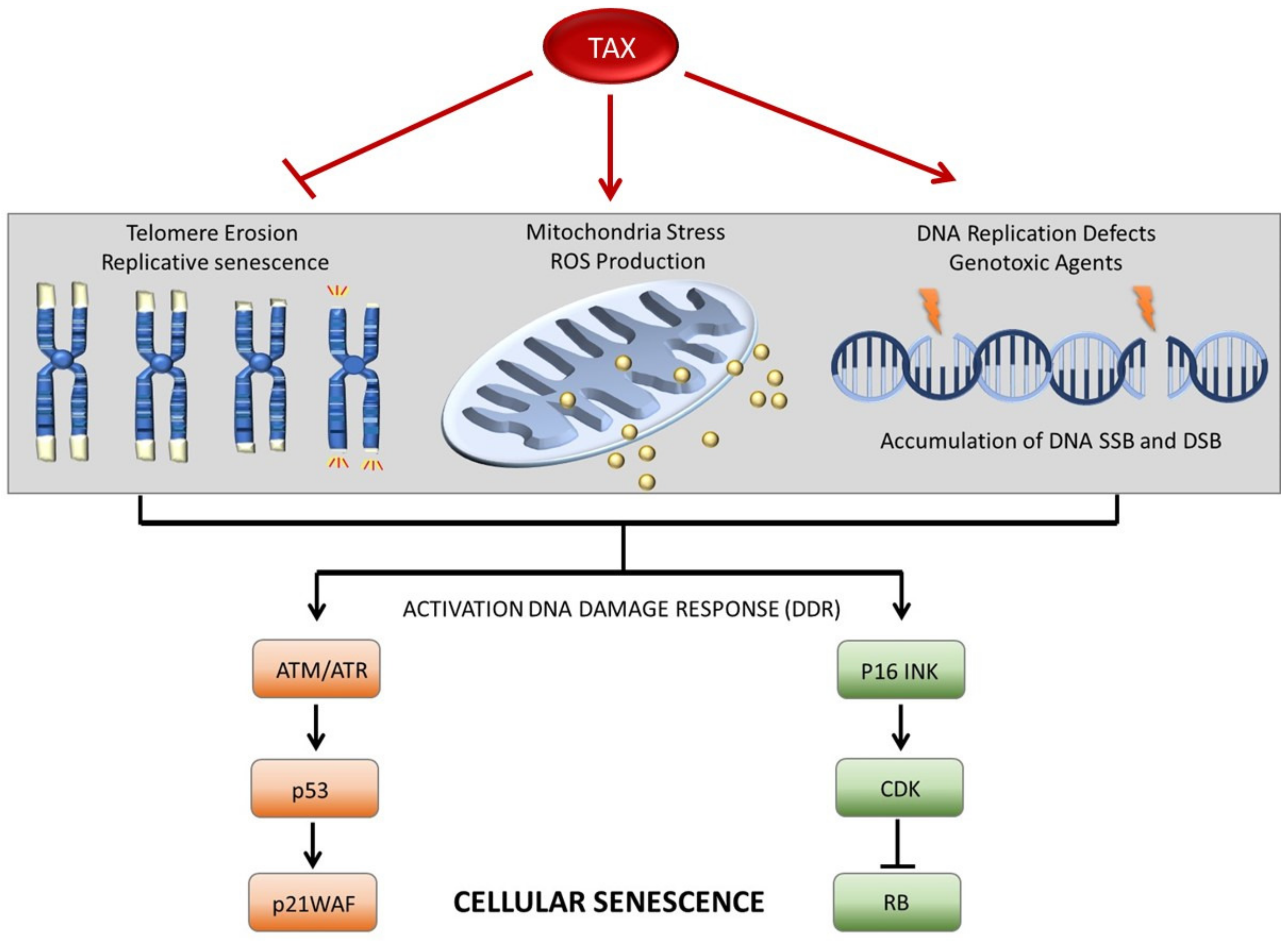 Pathogens 13 00087 g002