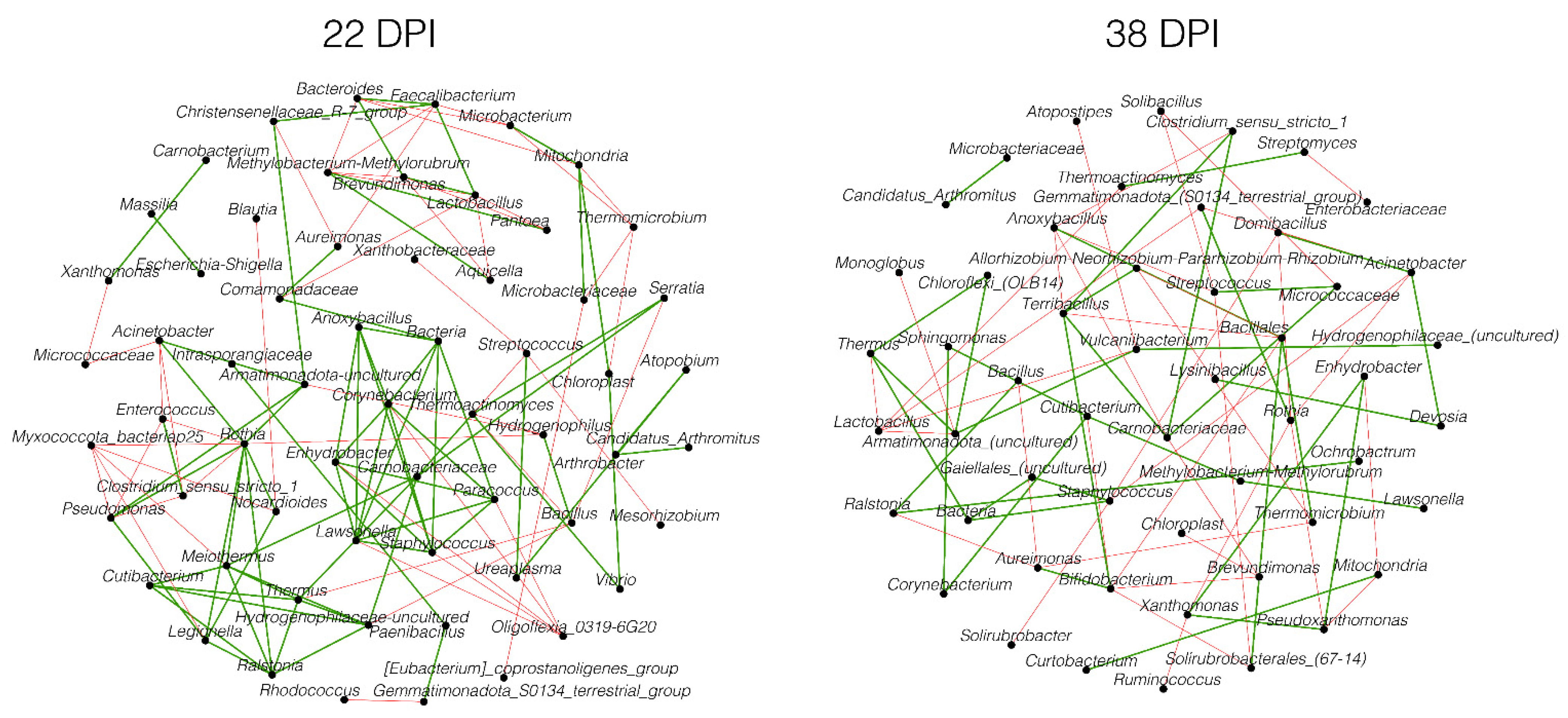 Pathogens 13 00091 g004 Pathogens 13 00091 g004