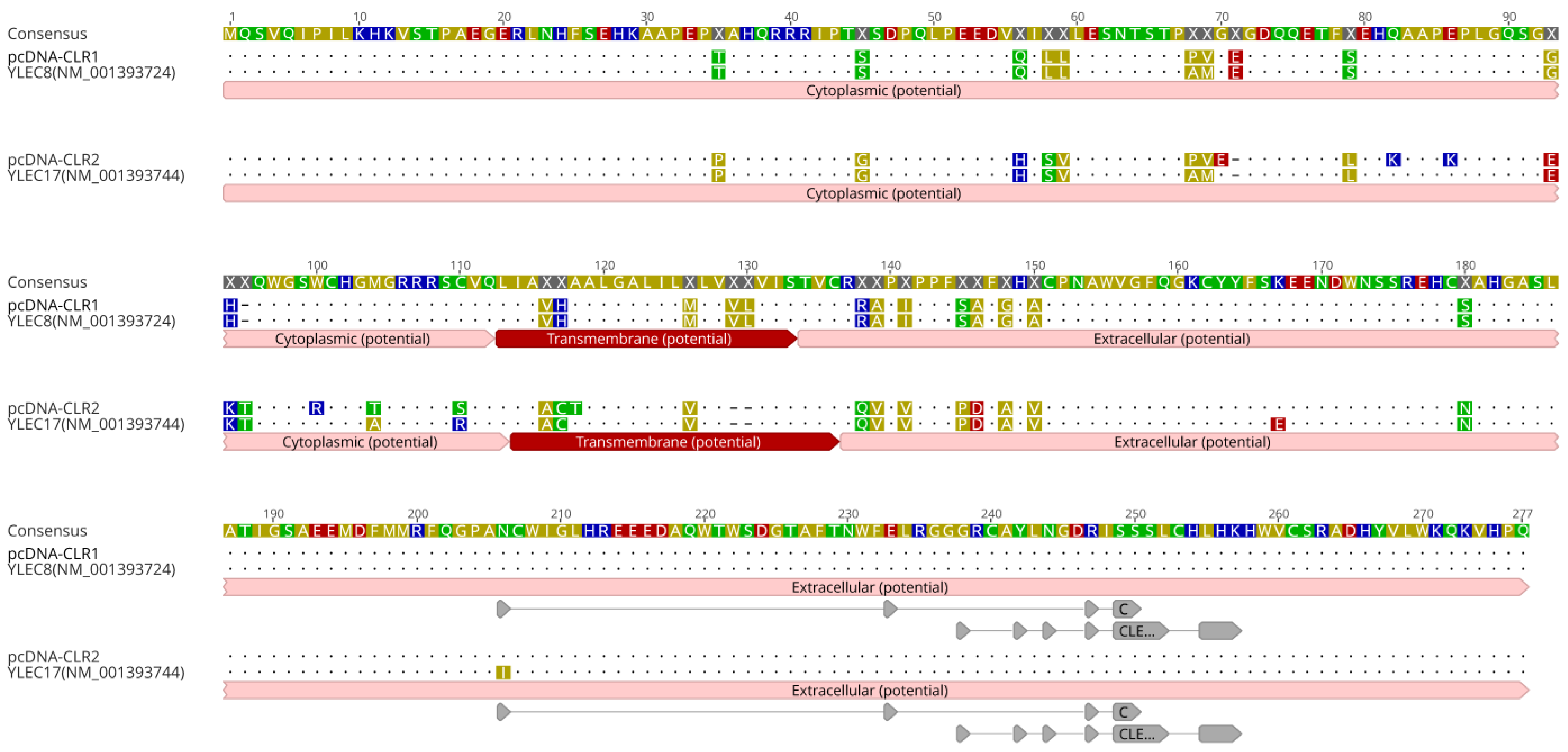 Pathogens 13 00095 g004