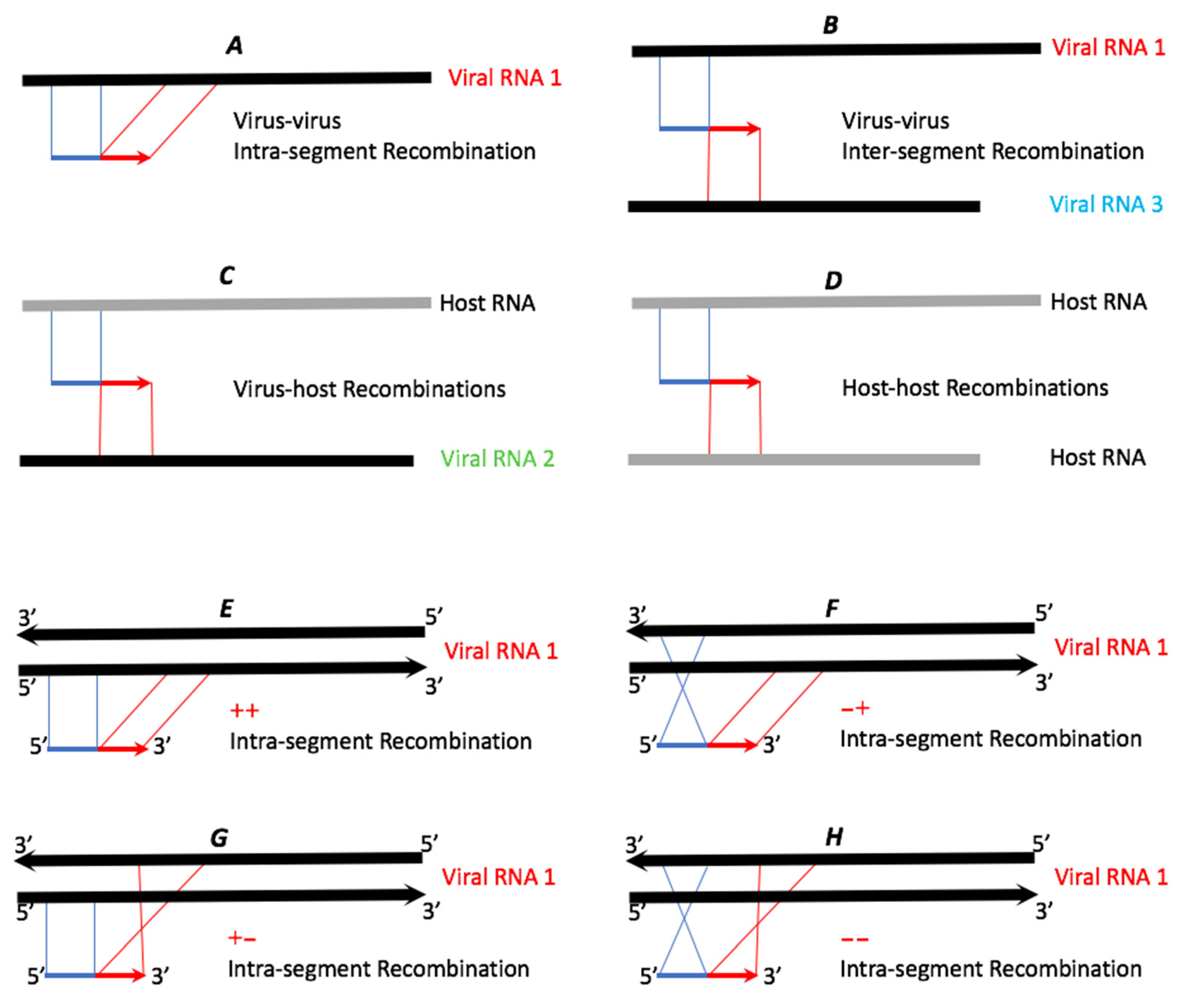 Pathogens 13 00096 g002 Pathogens 13 00096 g002