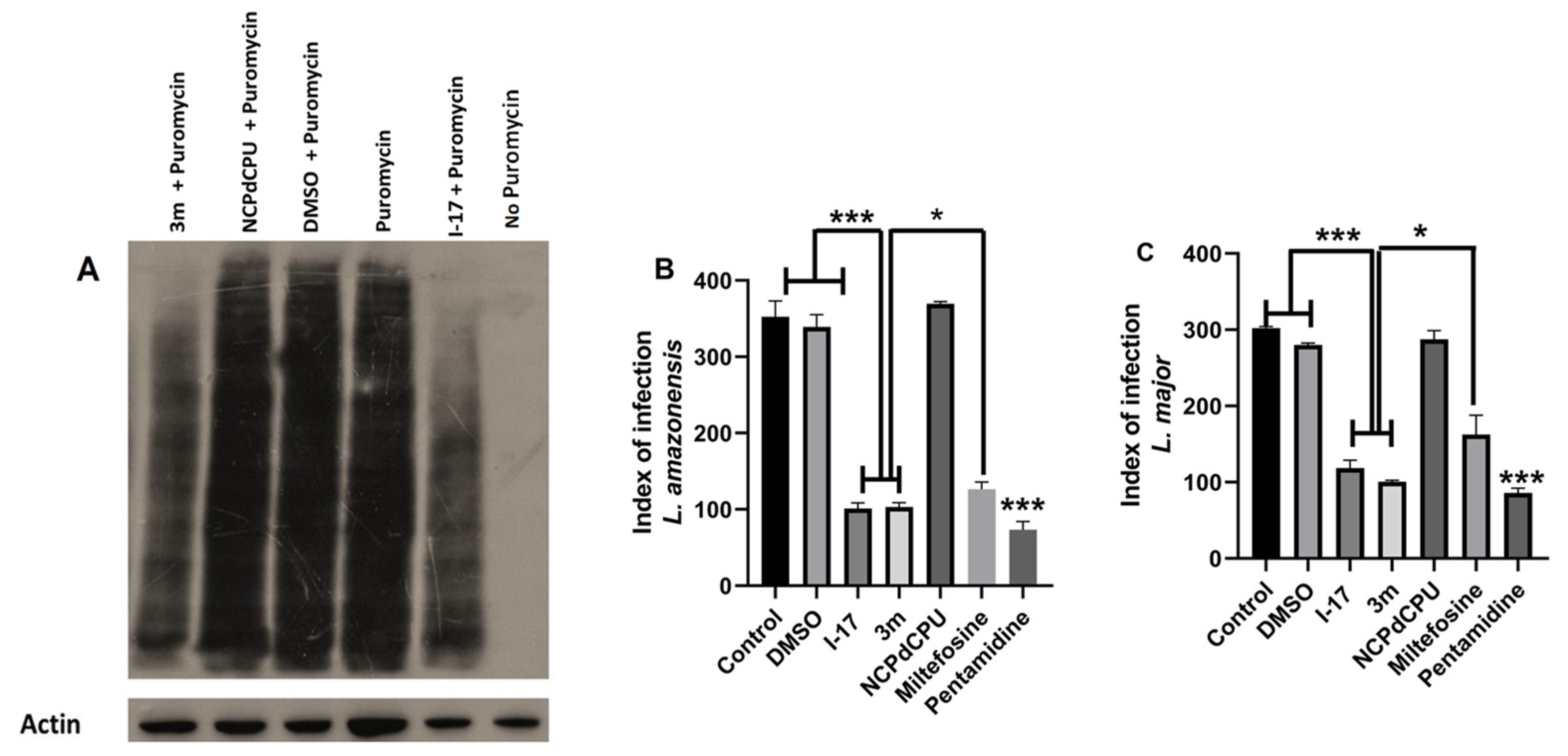 Pathogens 13 00104 g002