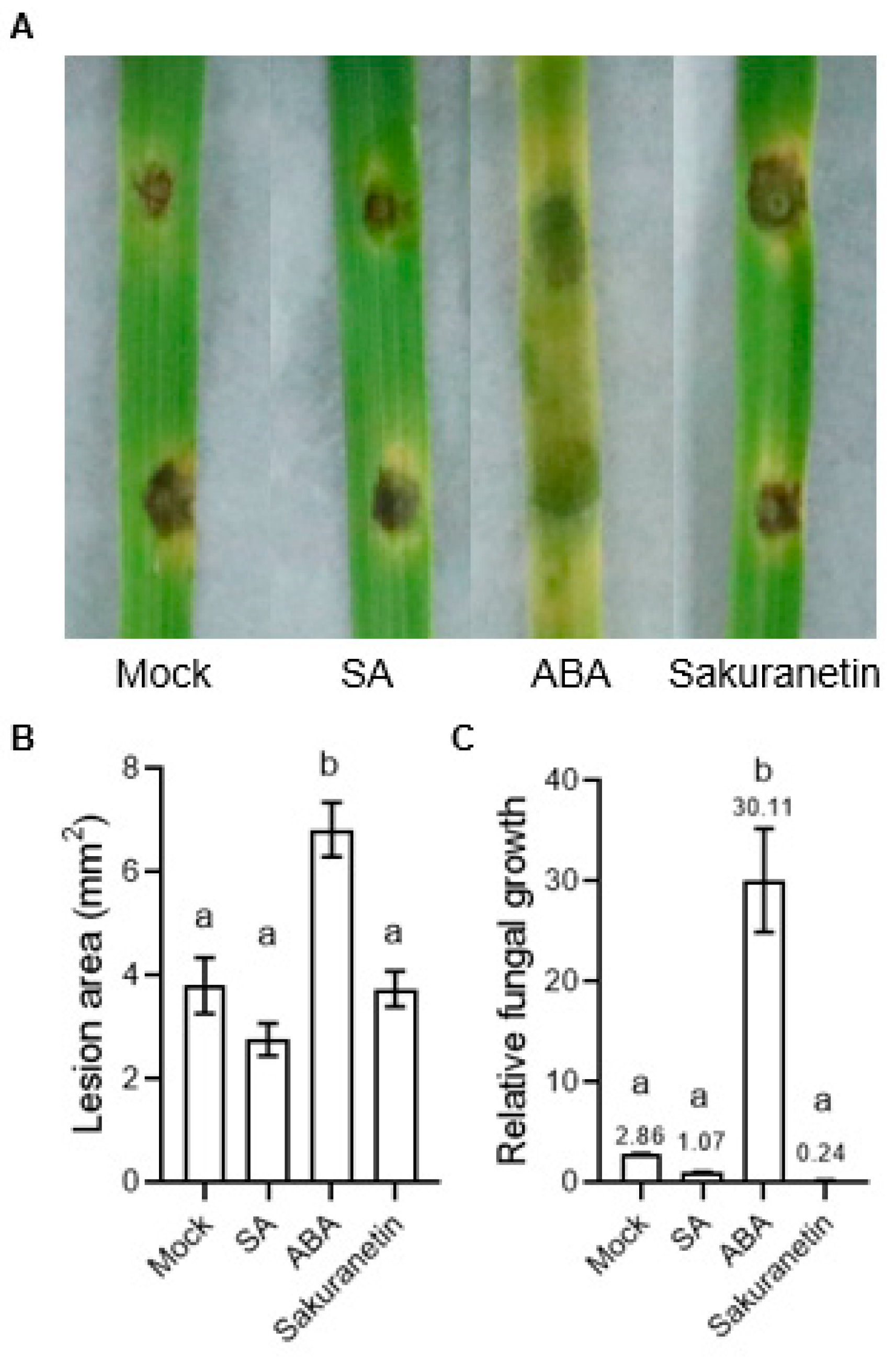 Pathogens 13 00105 g002