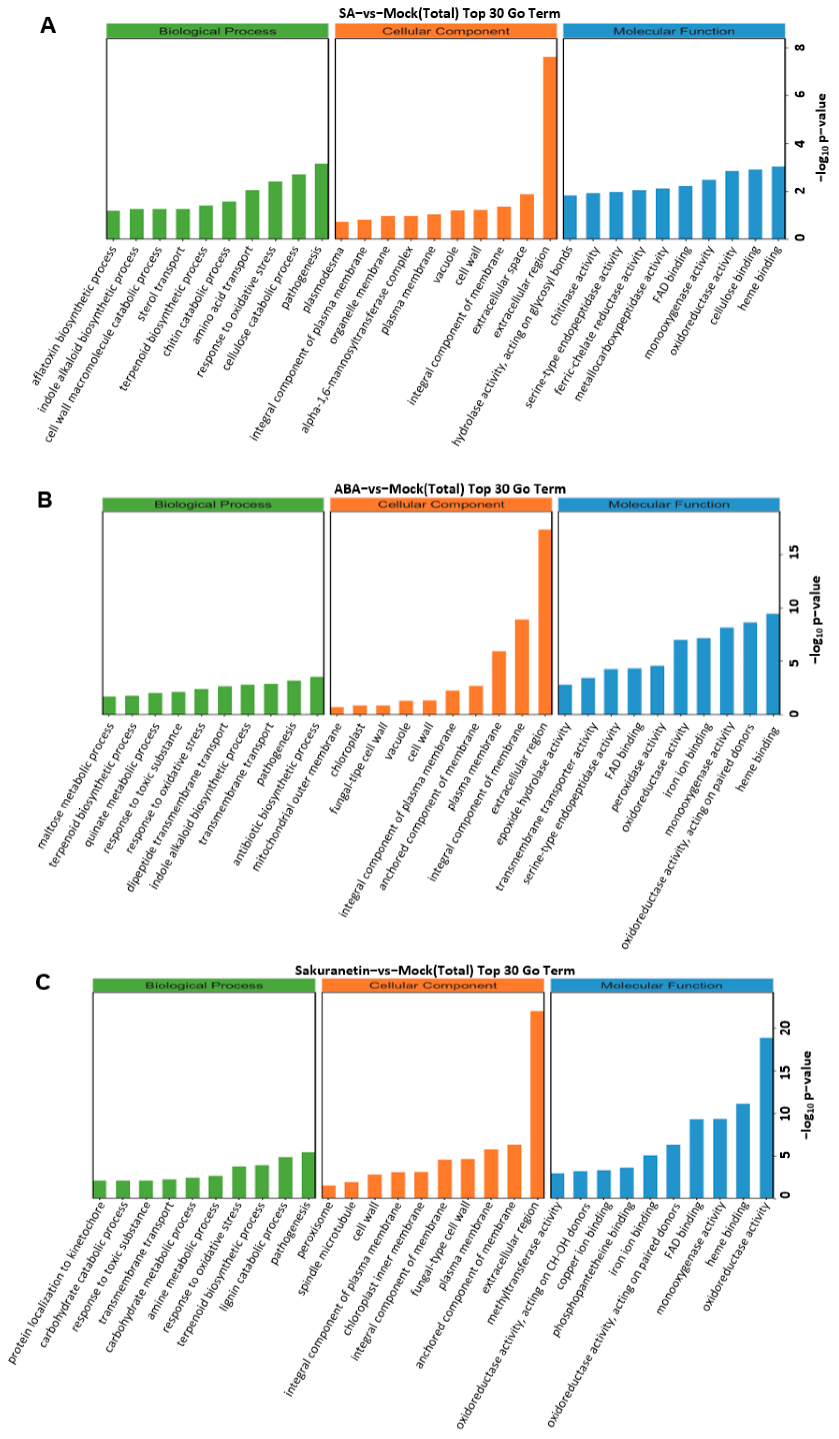 Pathogens 13 00105 g004