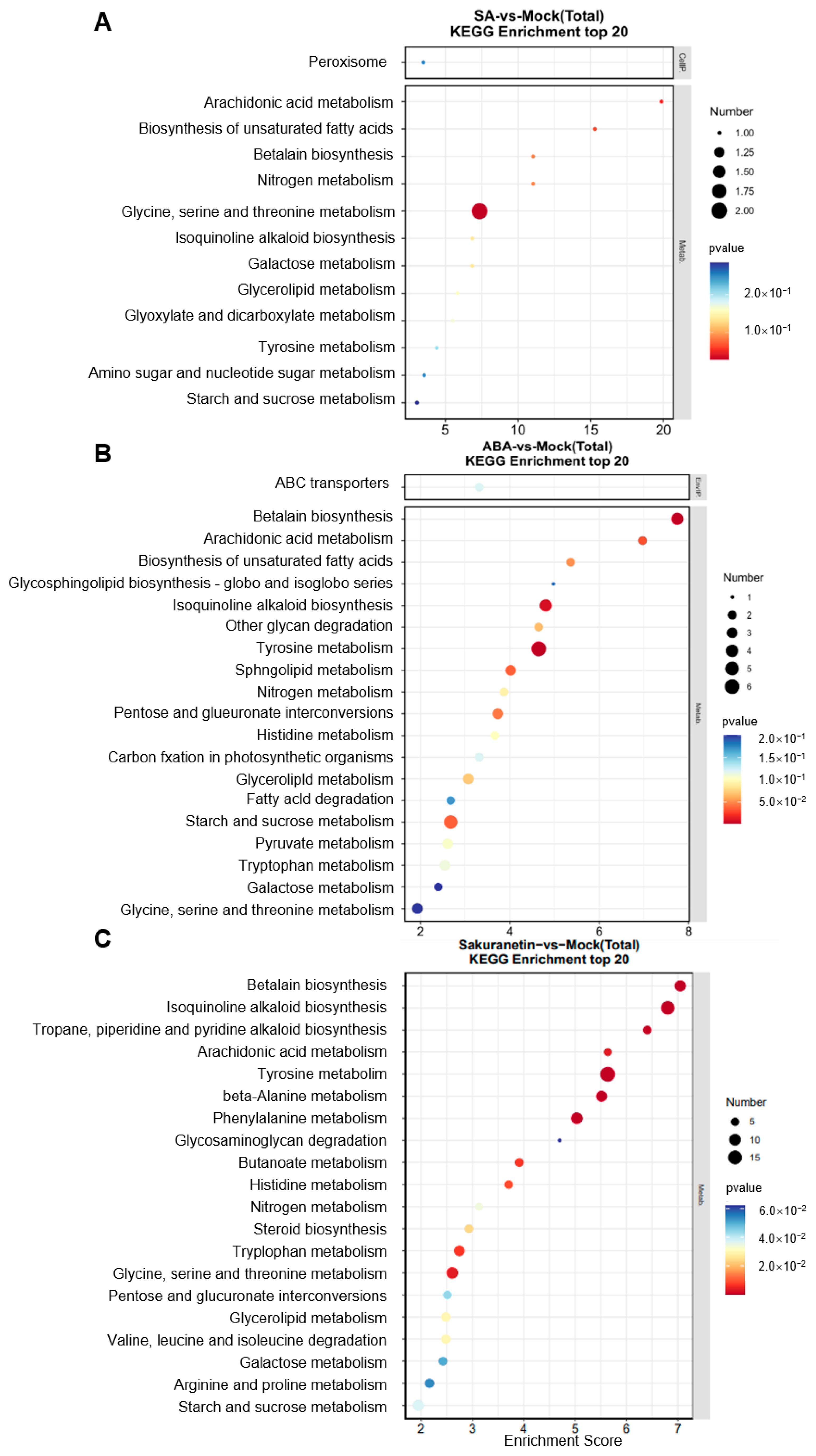 Pathogens 13 00105 g006