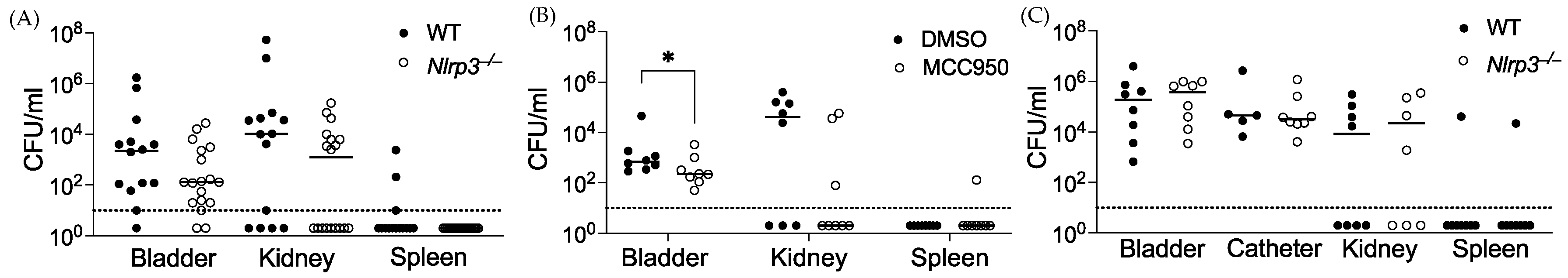 Pathogens 13 00106 g001