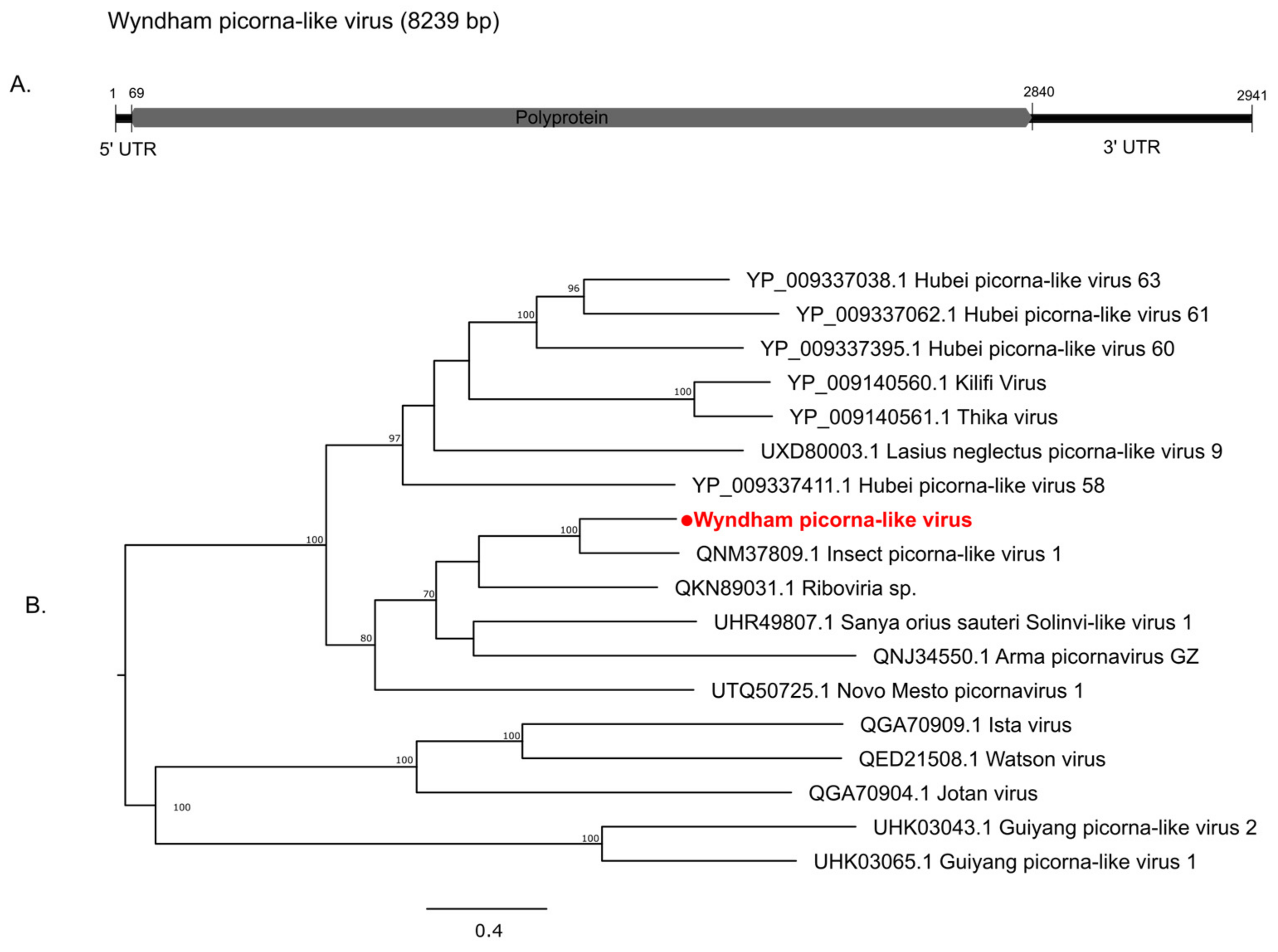 Pathogens 13 00107 g007