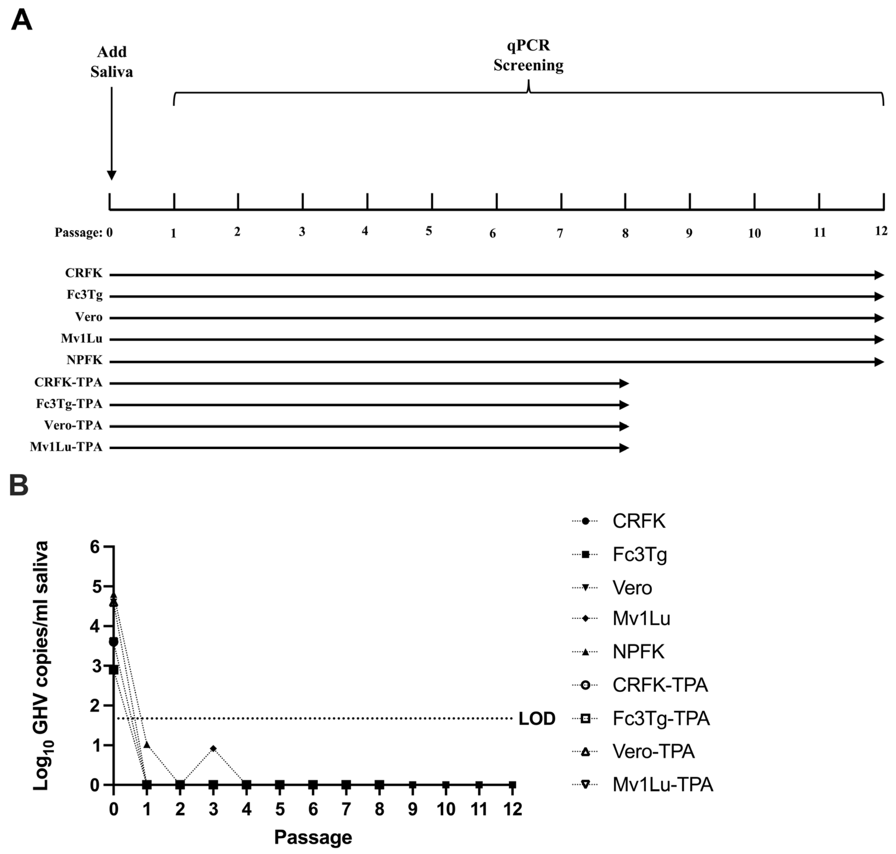 Pathogens 13 00111 g005