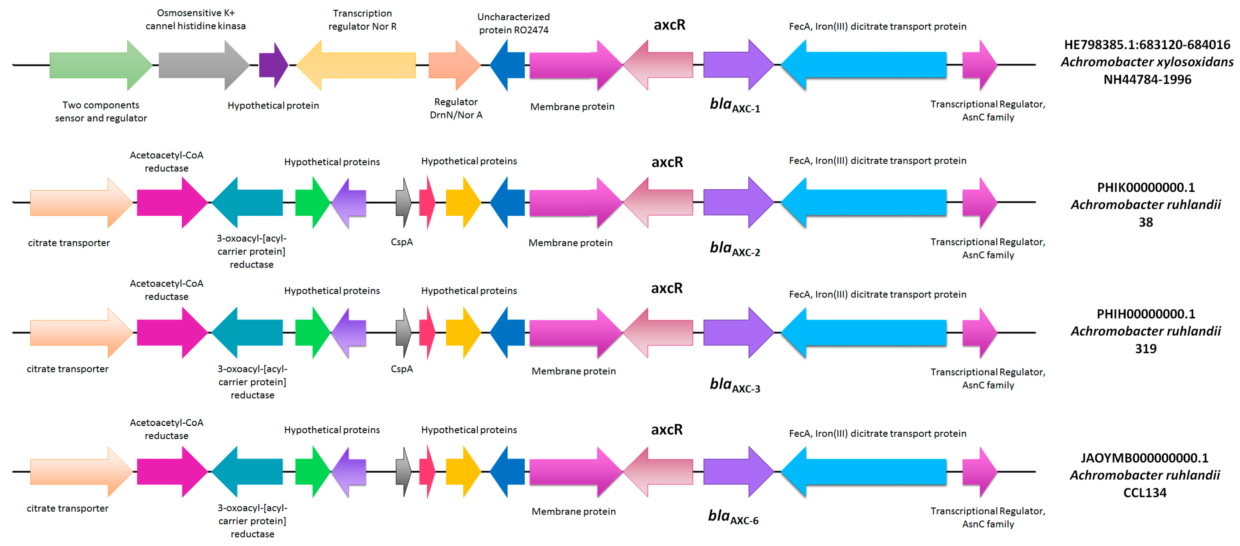 Pathogens 13 00115 g002