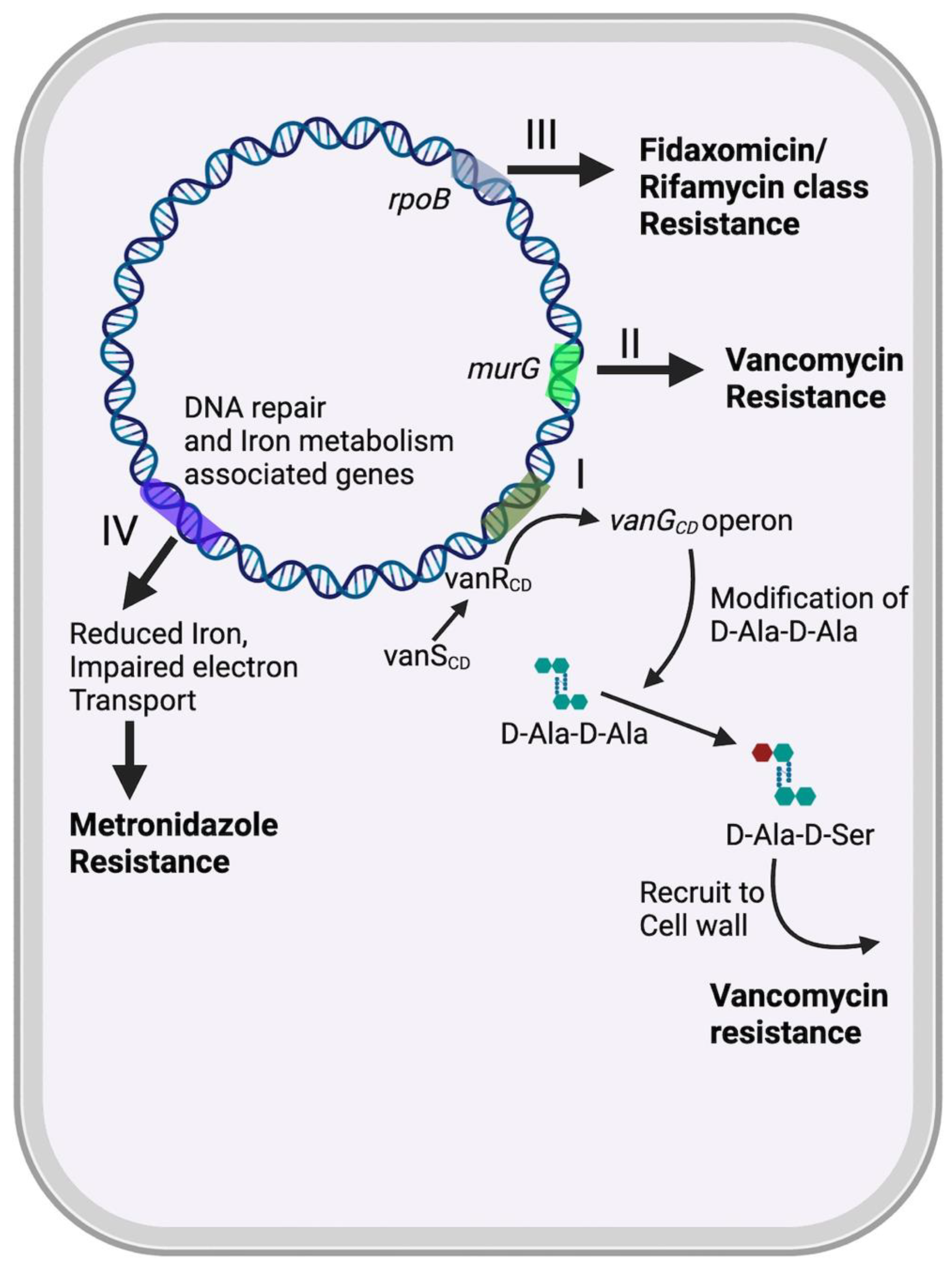 Pathogens 13 00118 g001