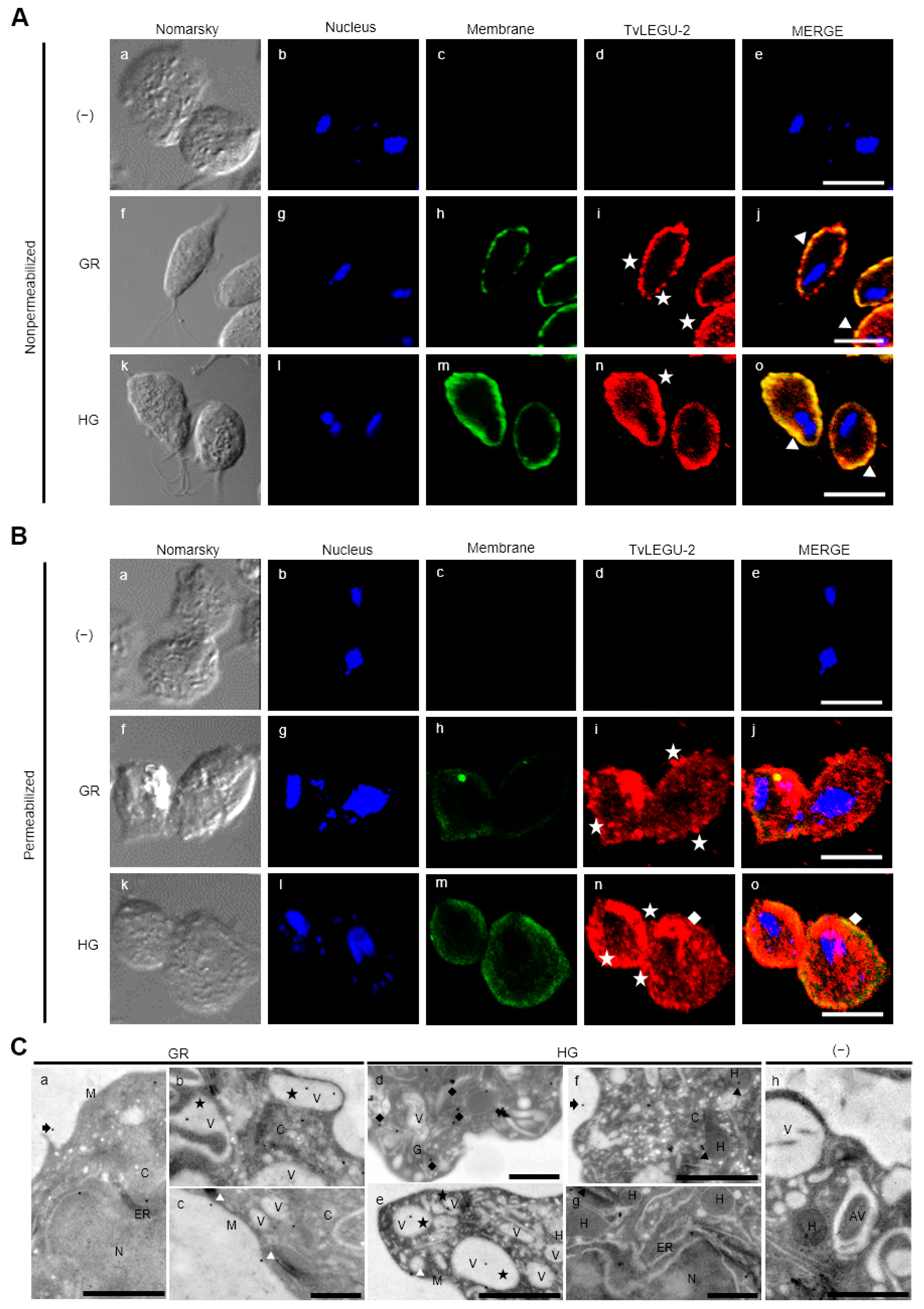 Pathogens 13 00119 g003