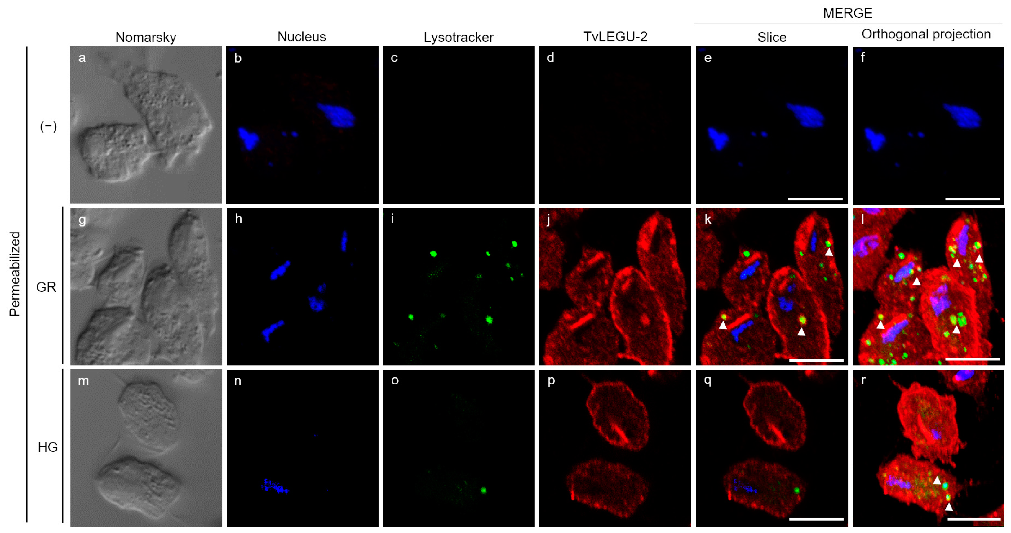 Pathogens 13 00119 g006