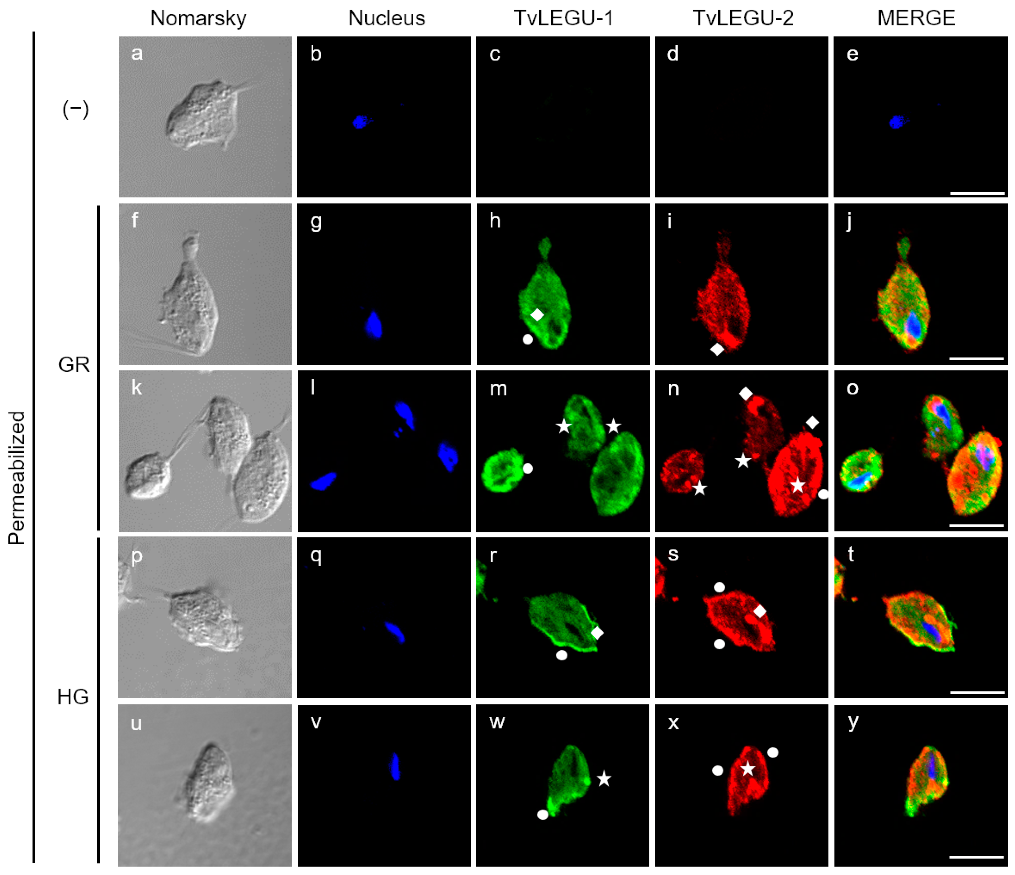 Pathogens 13 00119 g007