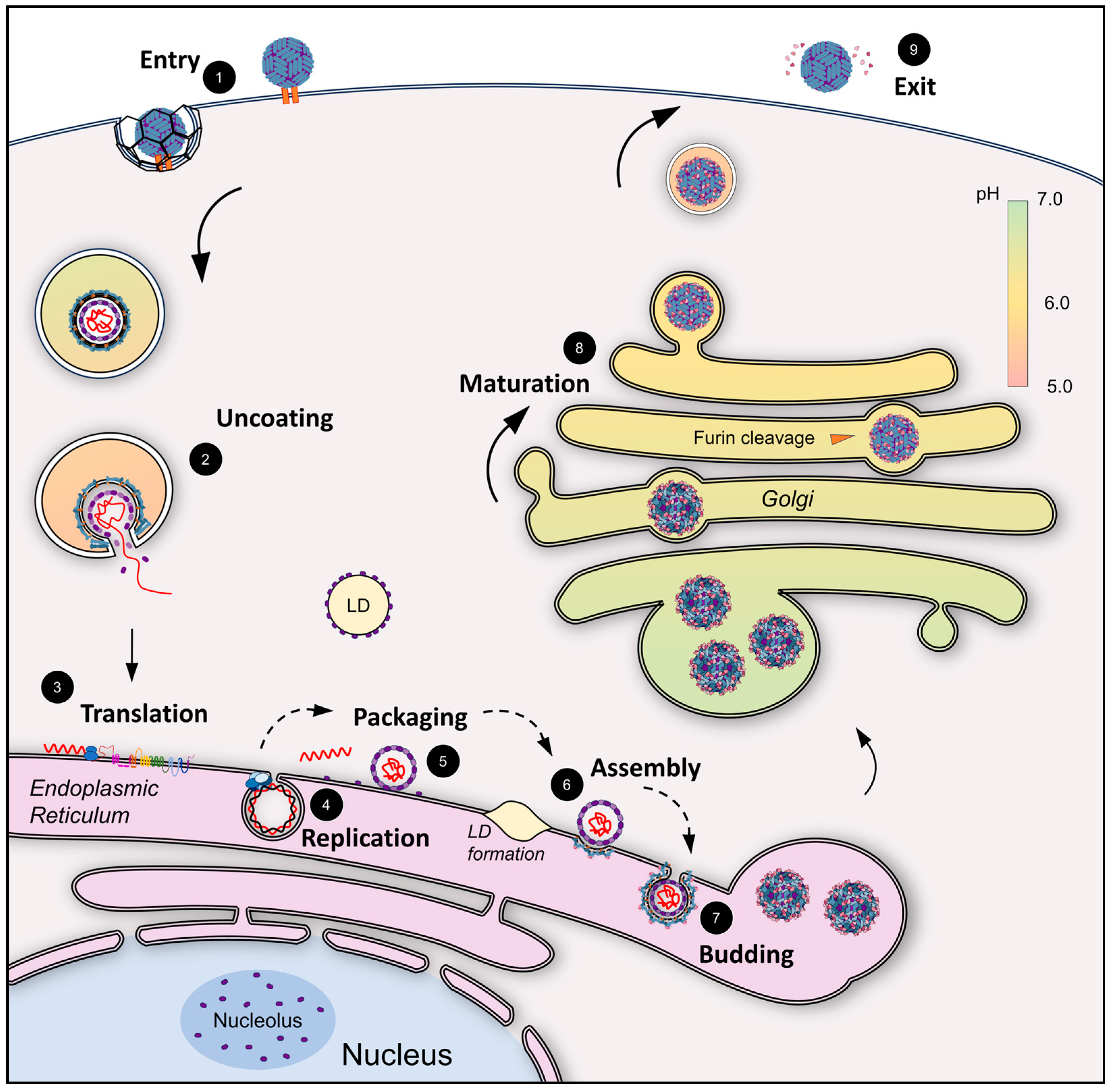Pathogens 13 00120 g001