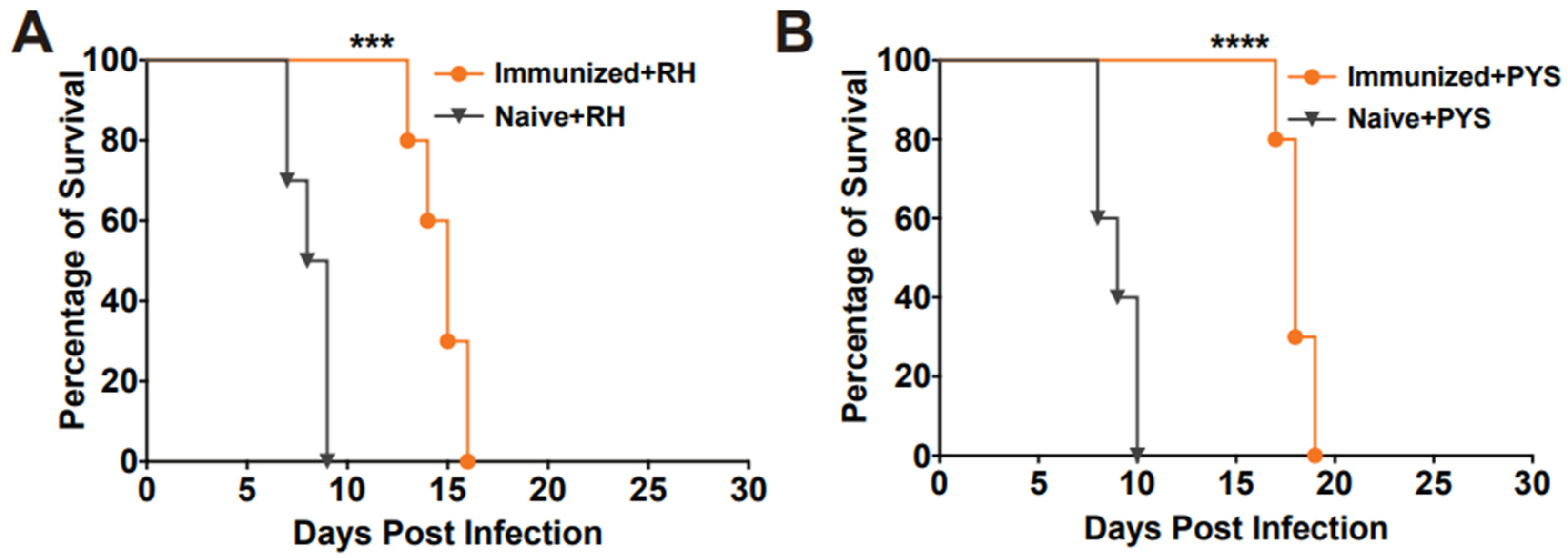 Pathogens 13 00121 g005