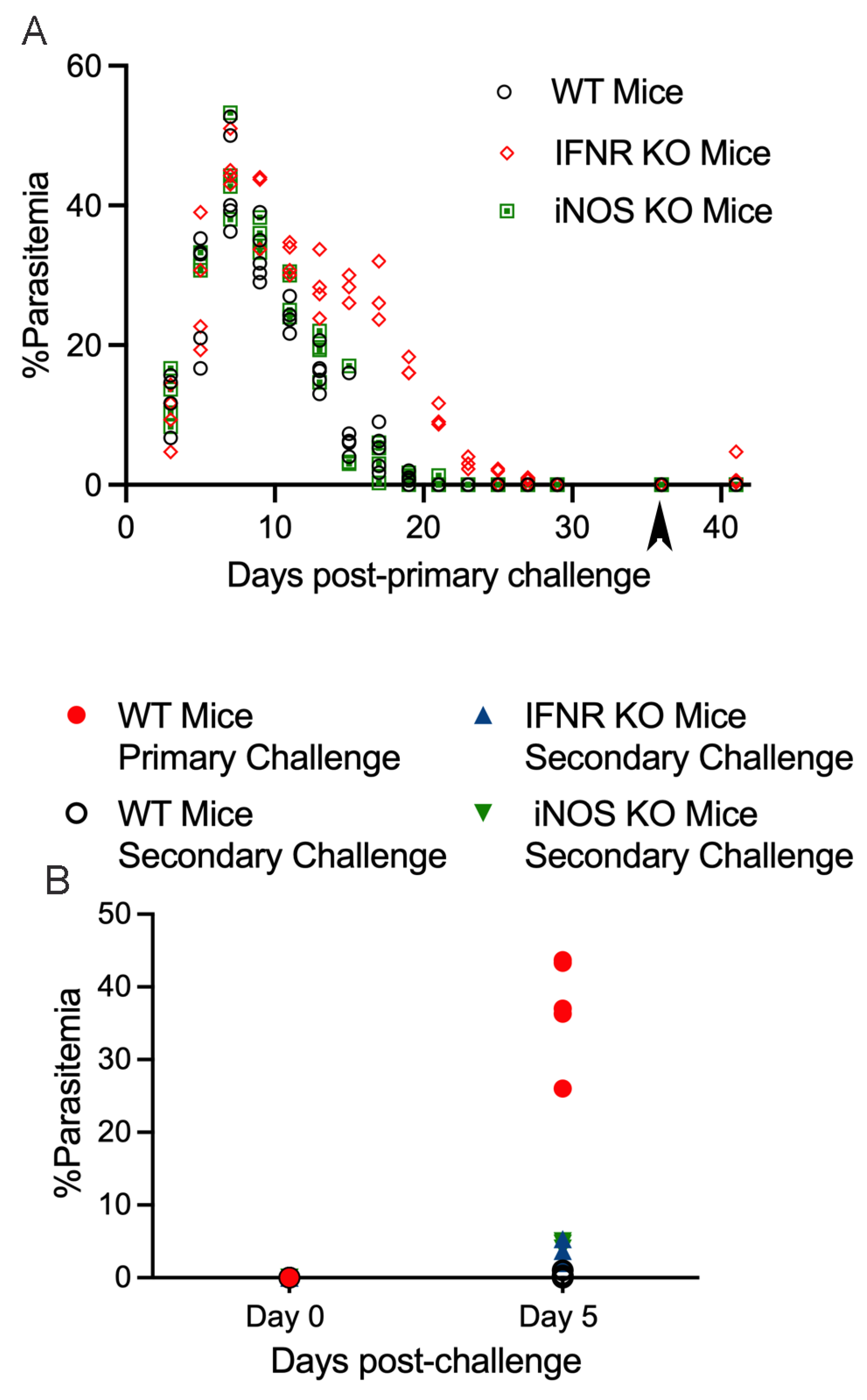 Pathogens 13 00123 g003