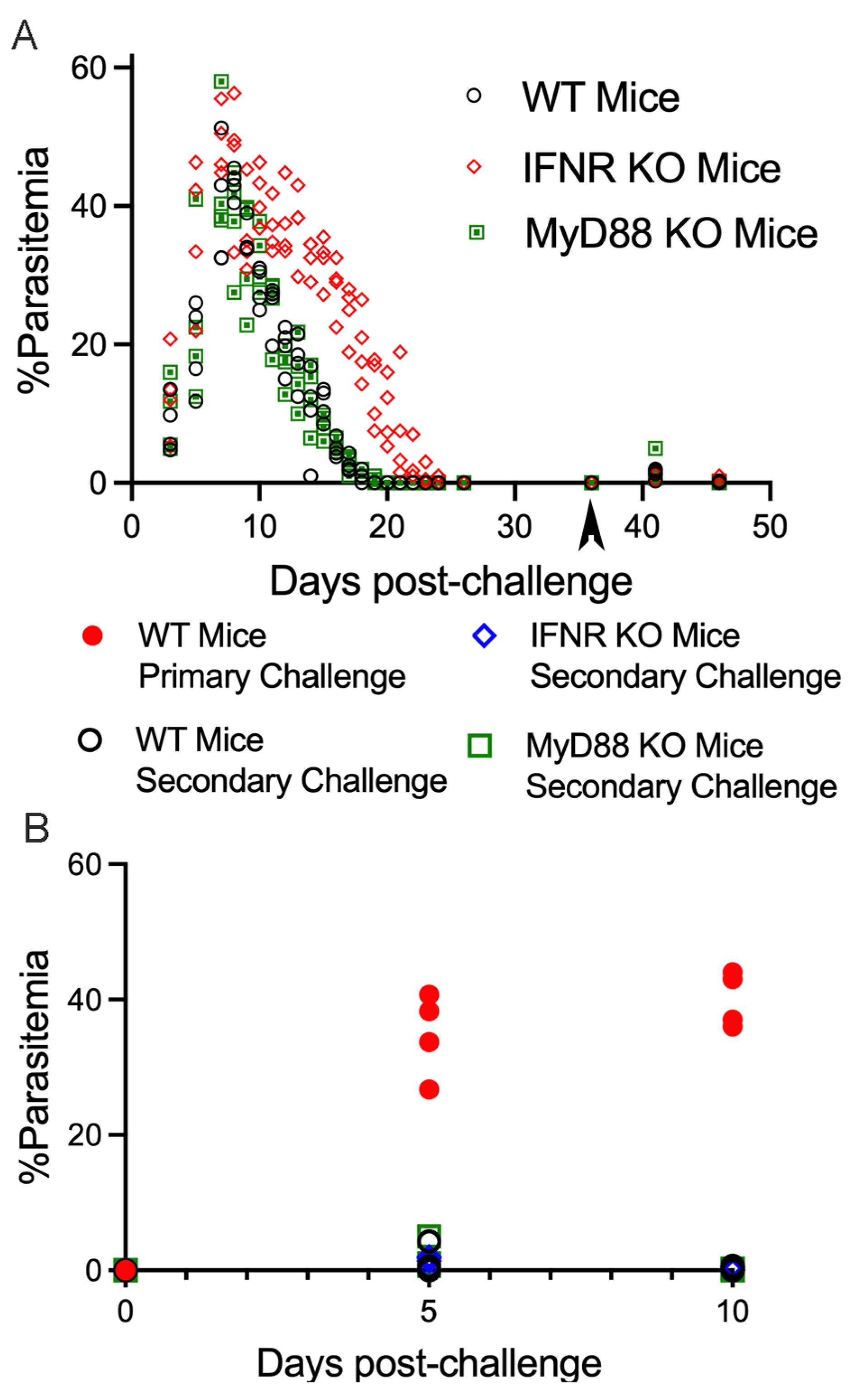 Pathogens 13 00123 g004