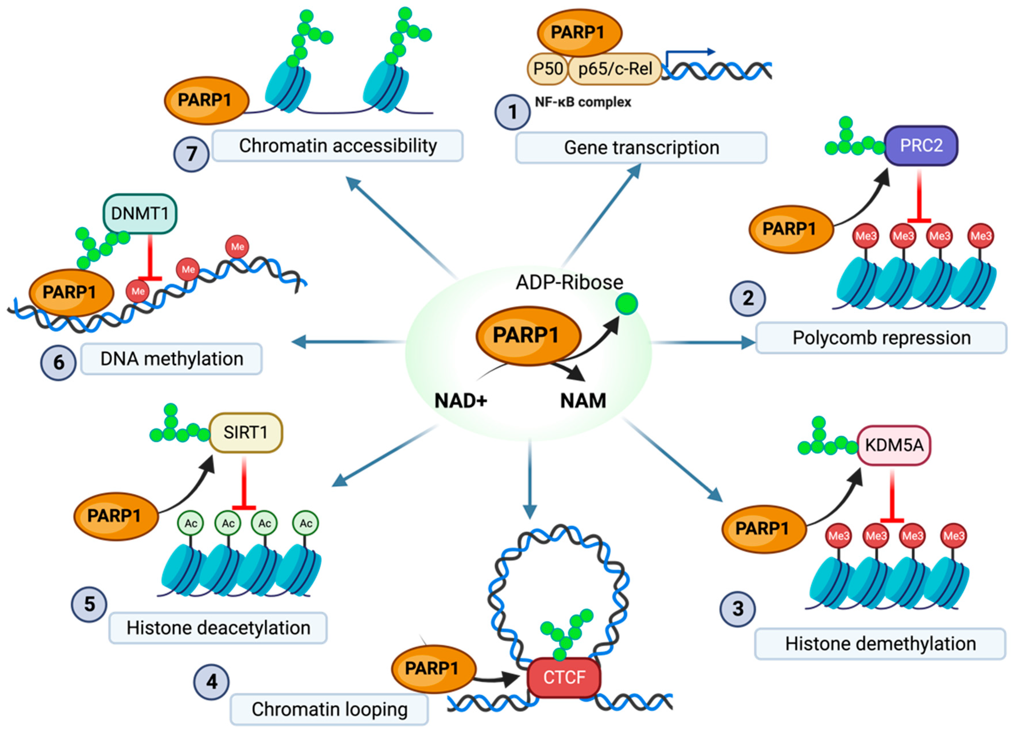 Pathogens 13 00131 g001