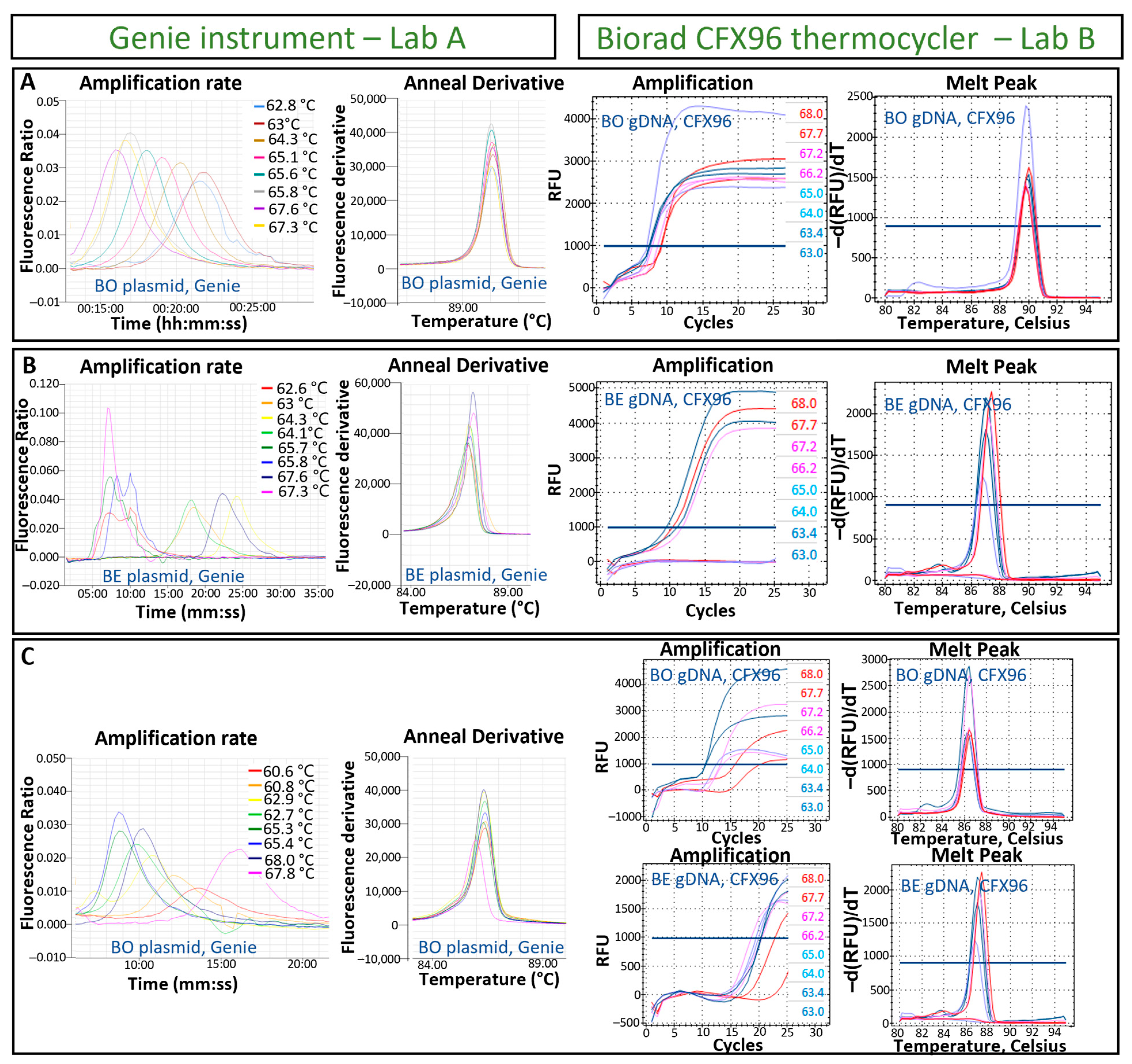 Pathogens 13 00132 g002