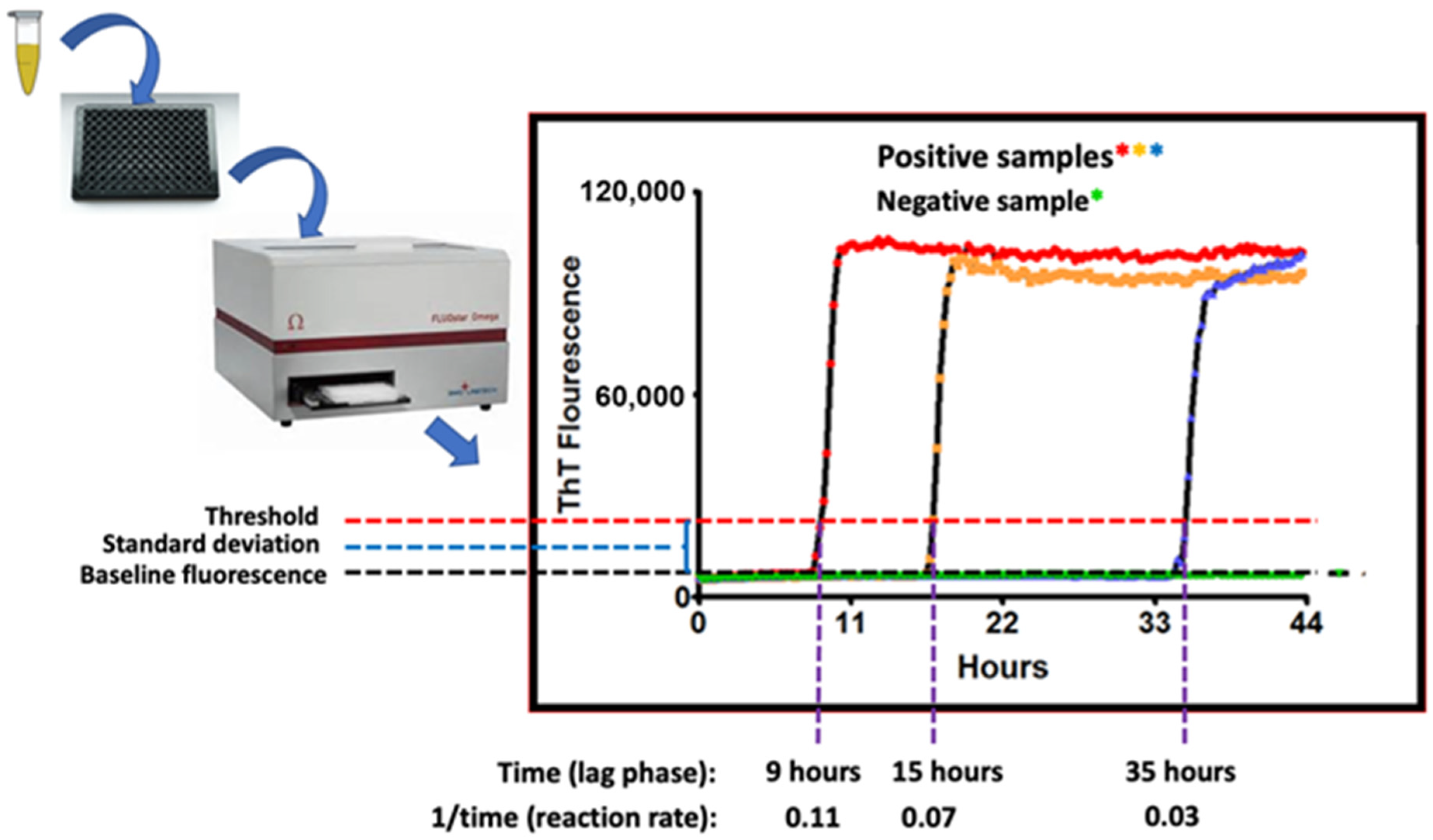 Pathogens 13 00138 g002