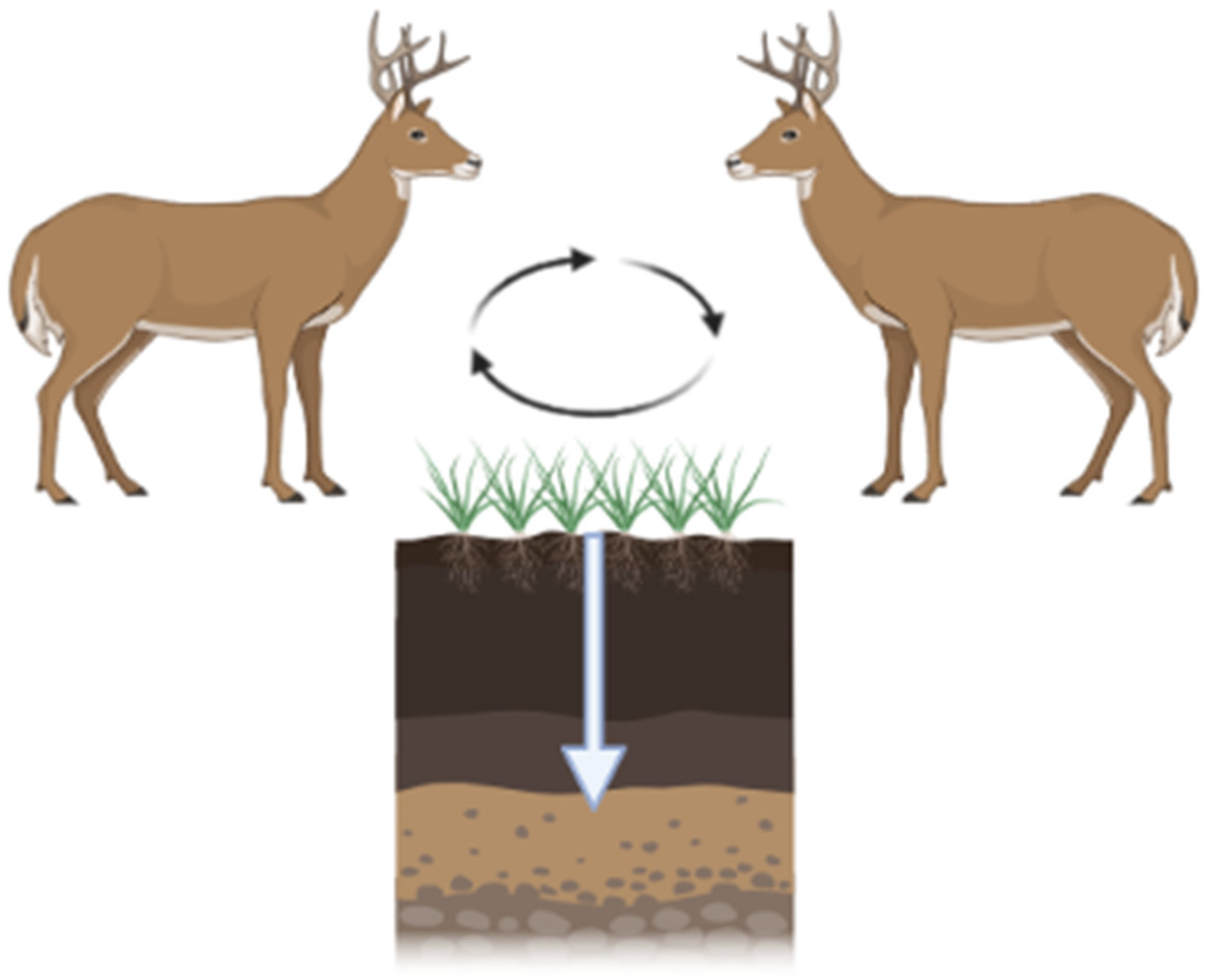 Pathogens 13 00138 g003