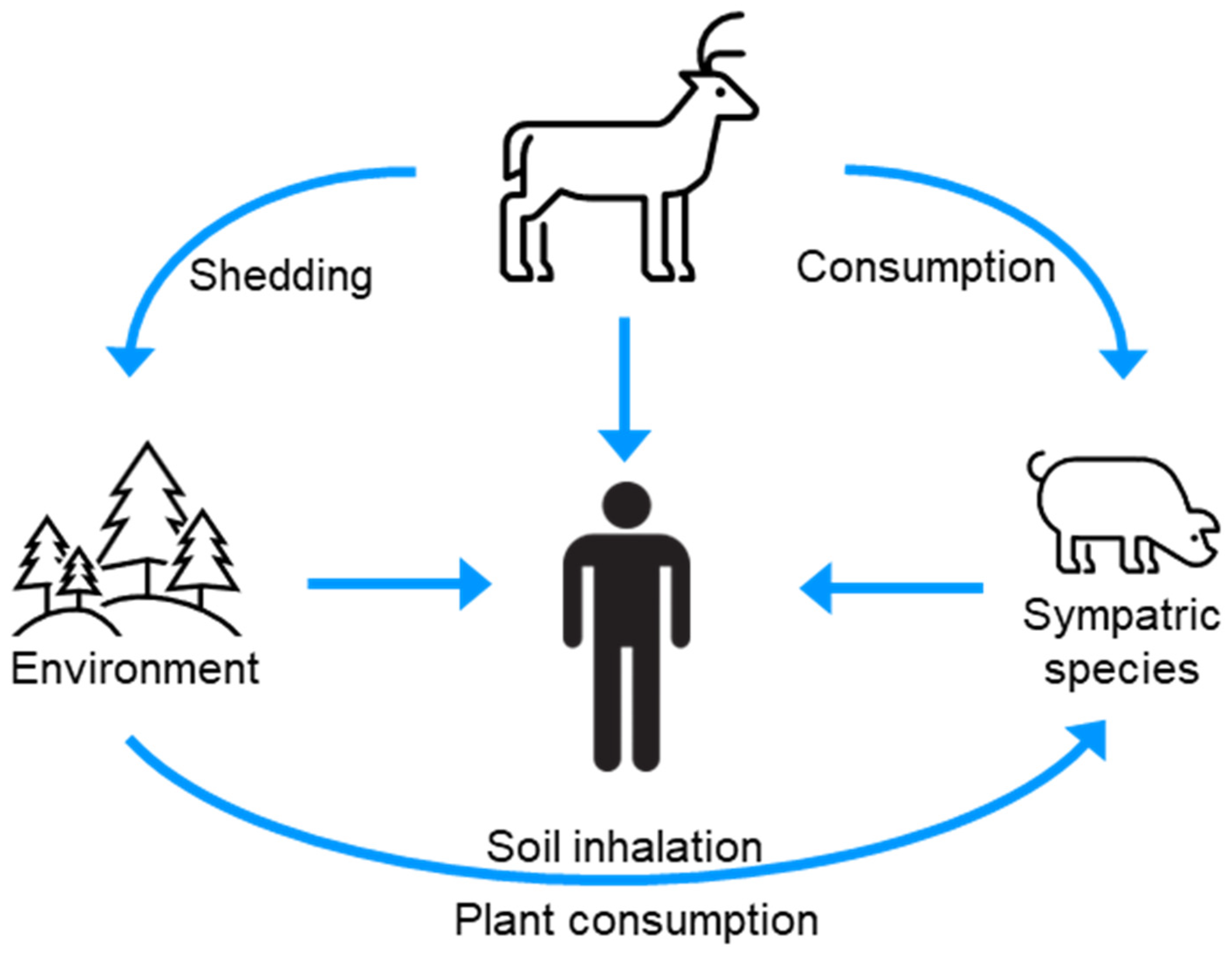 Pathogens 13 00138 g004