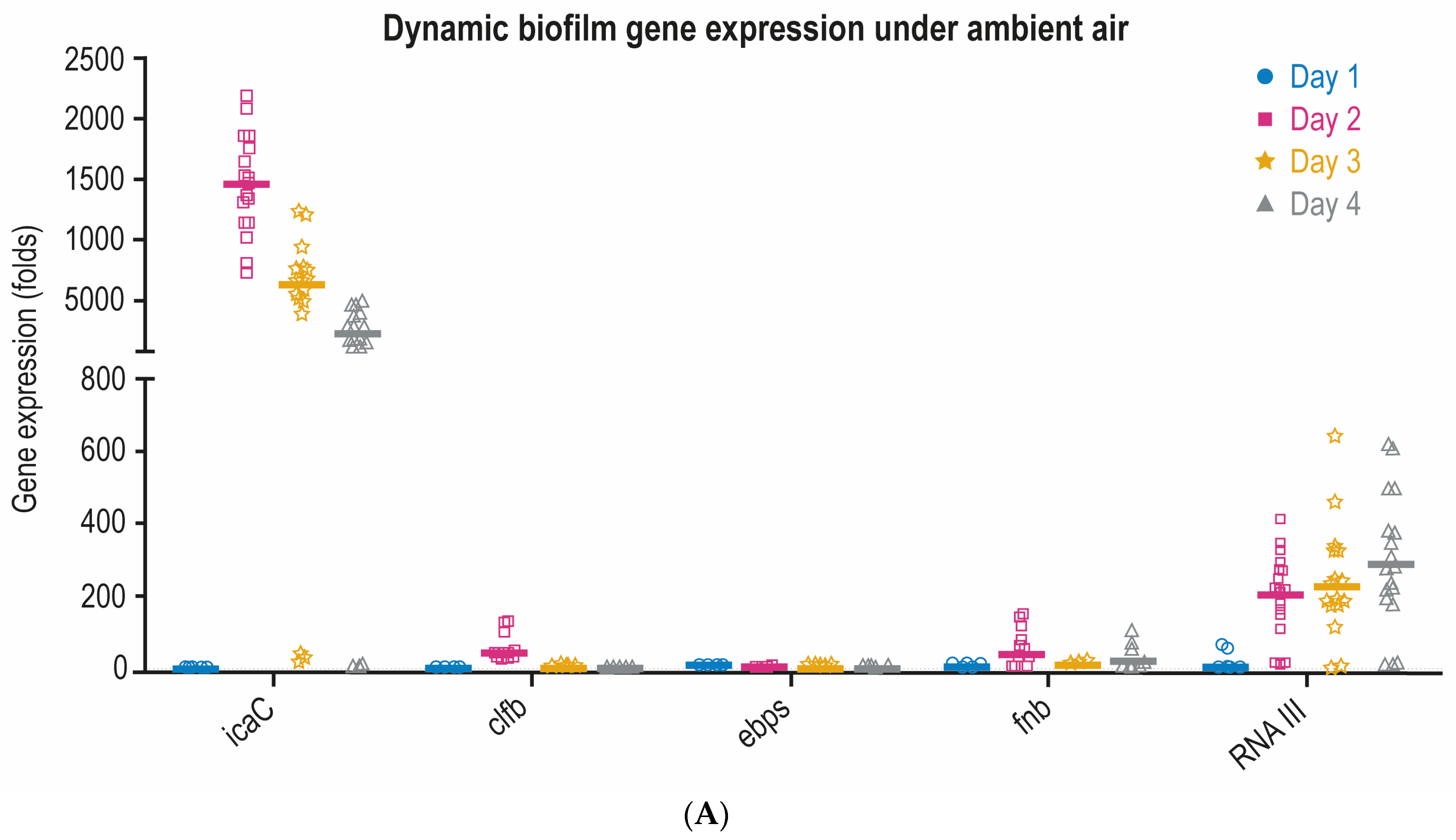 Pathogens 13 00144 g003a