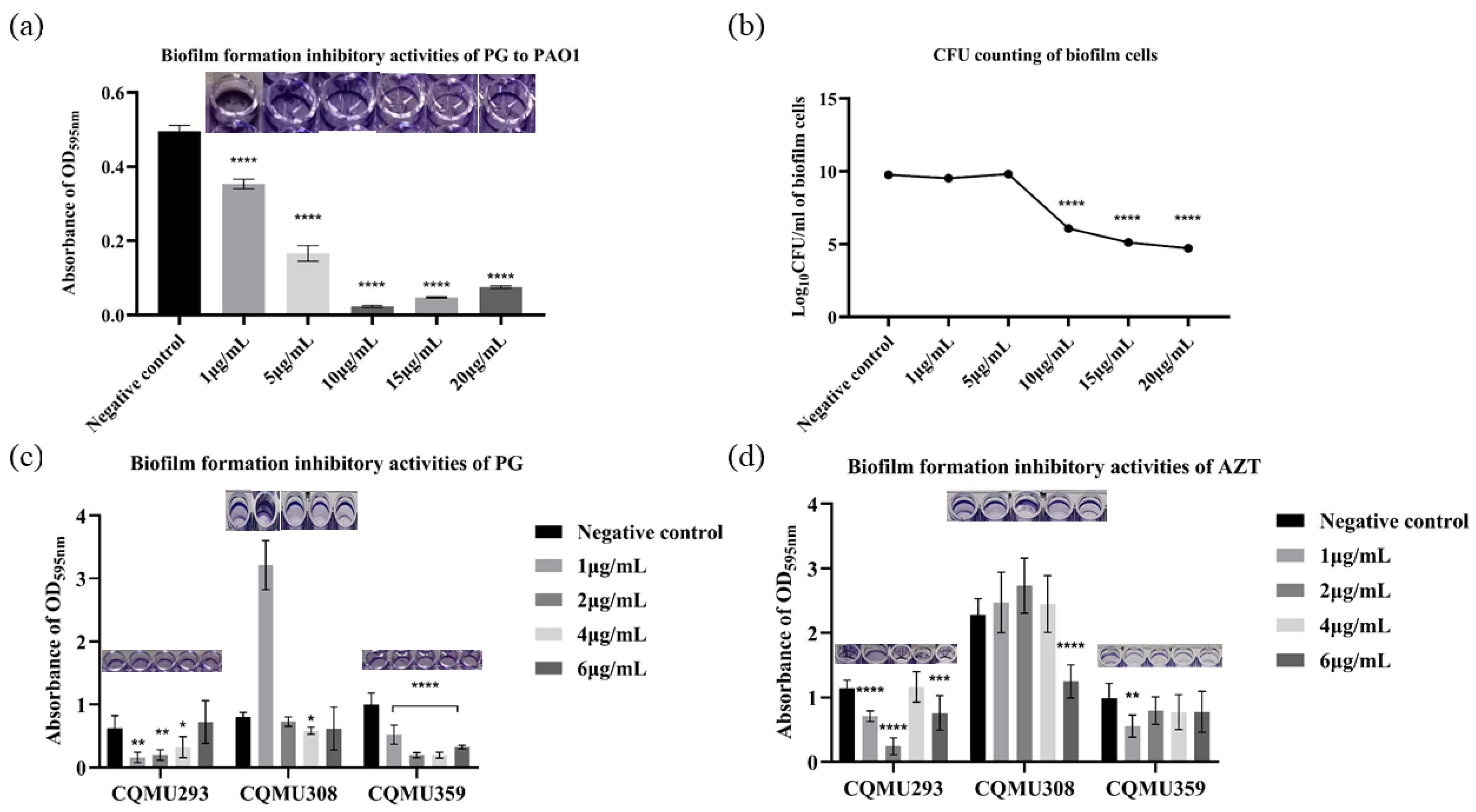 Pathogens 13 00145 g001 Pathogens 13 00145 g001