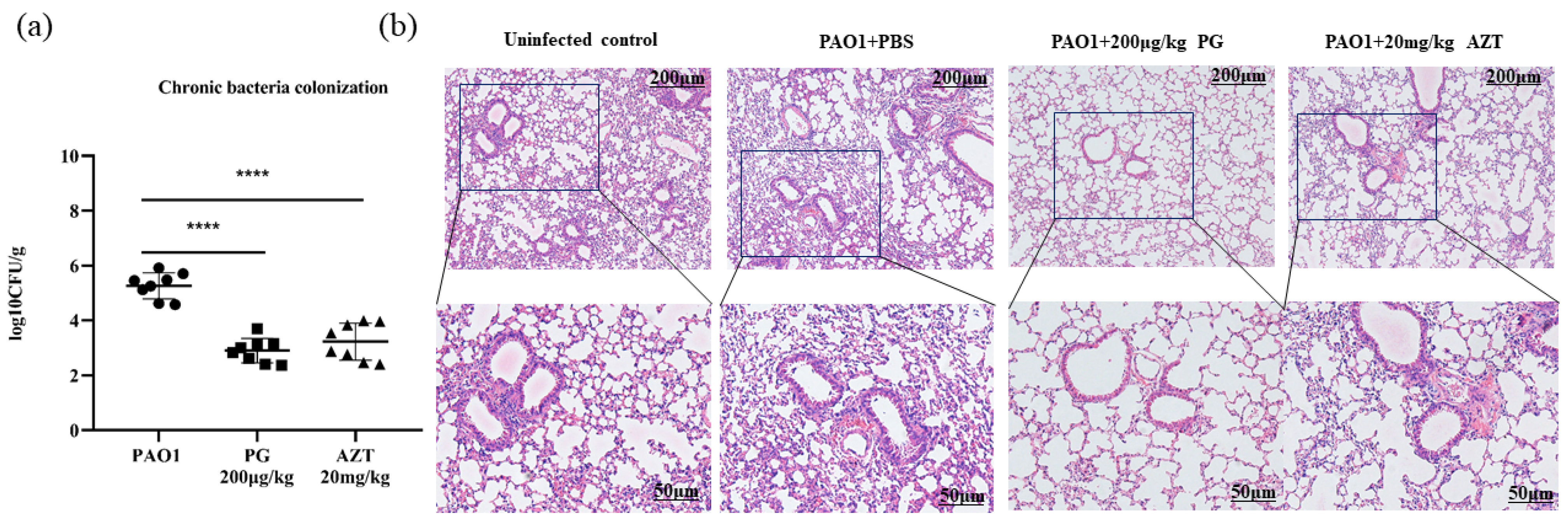 Pathogens 13 00145 g004 Pathogens 13 00145 g004