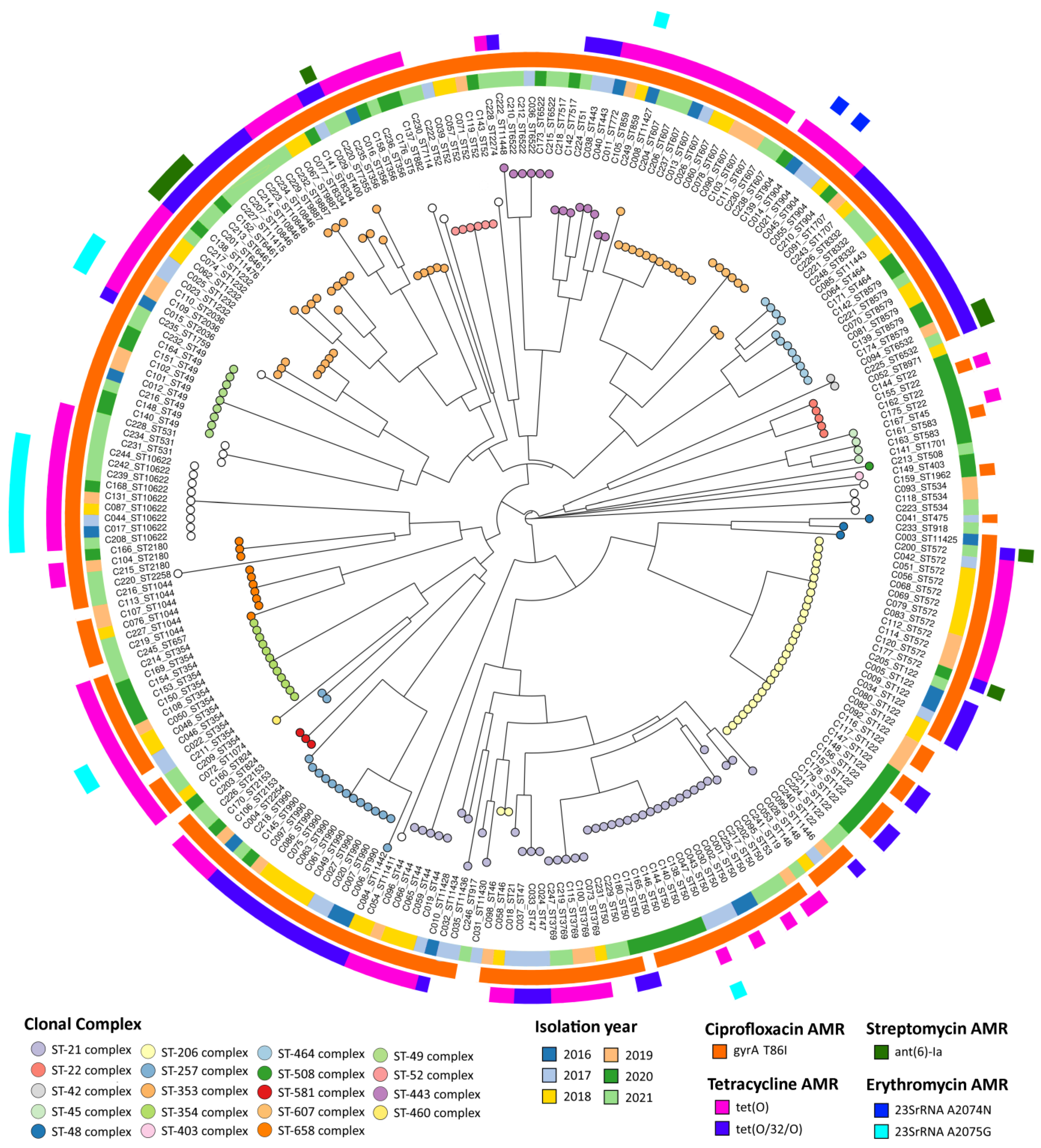 Pathogens 13 00147 g006