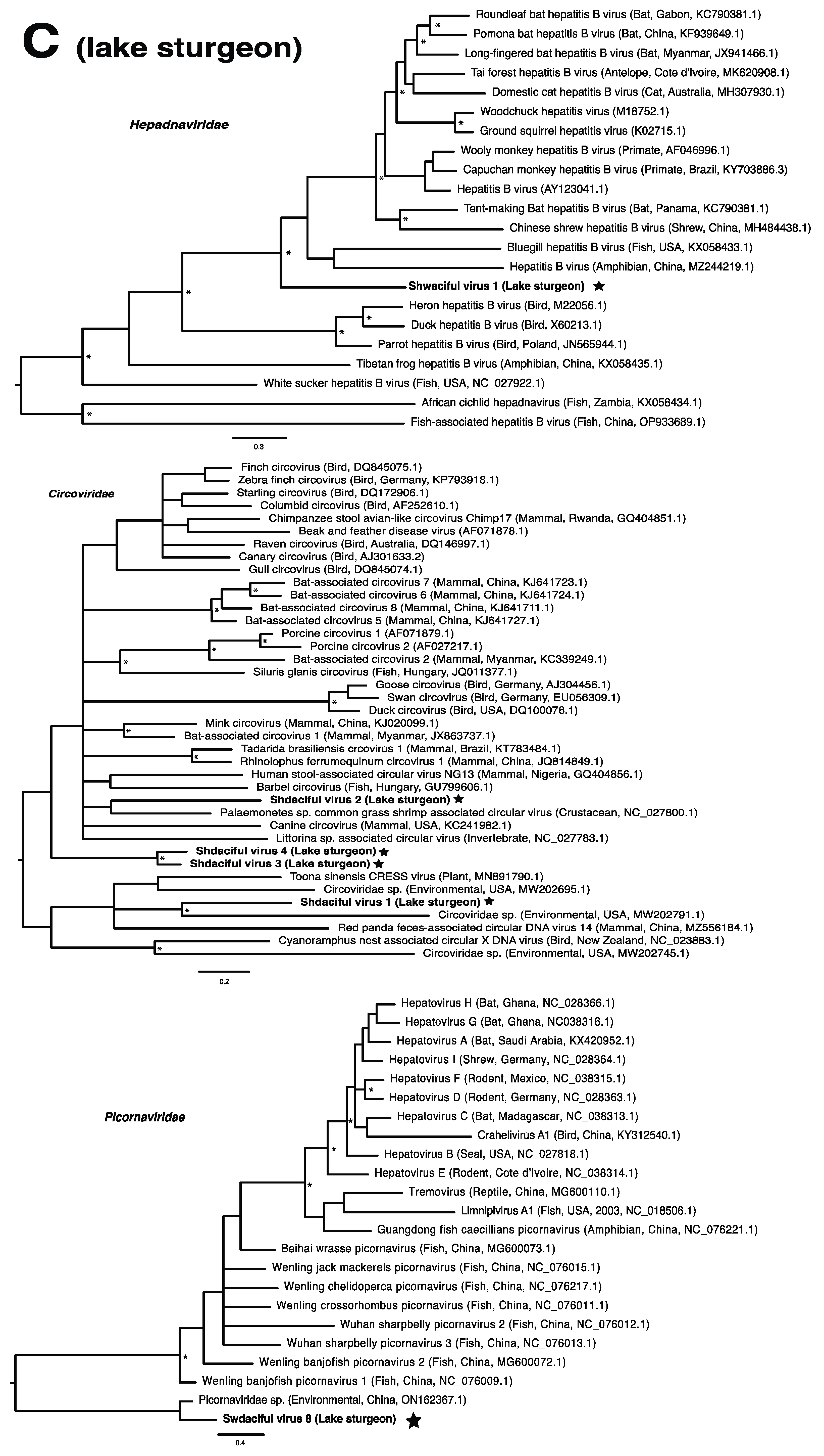 Pathogens 13 00150 g002b