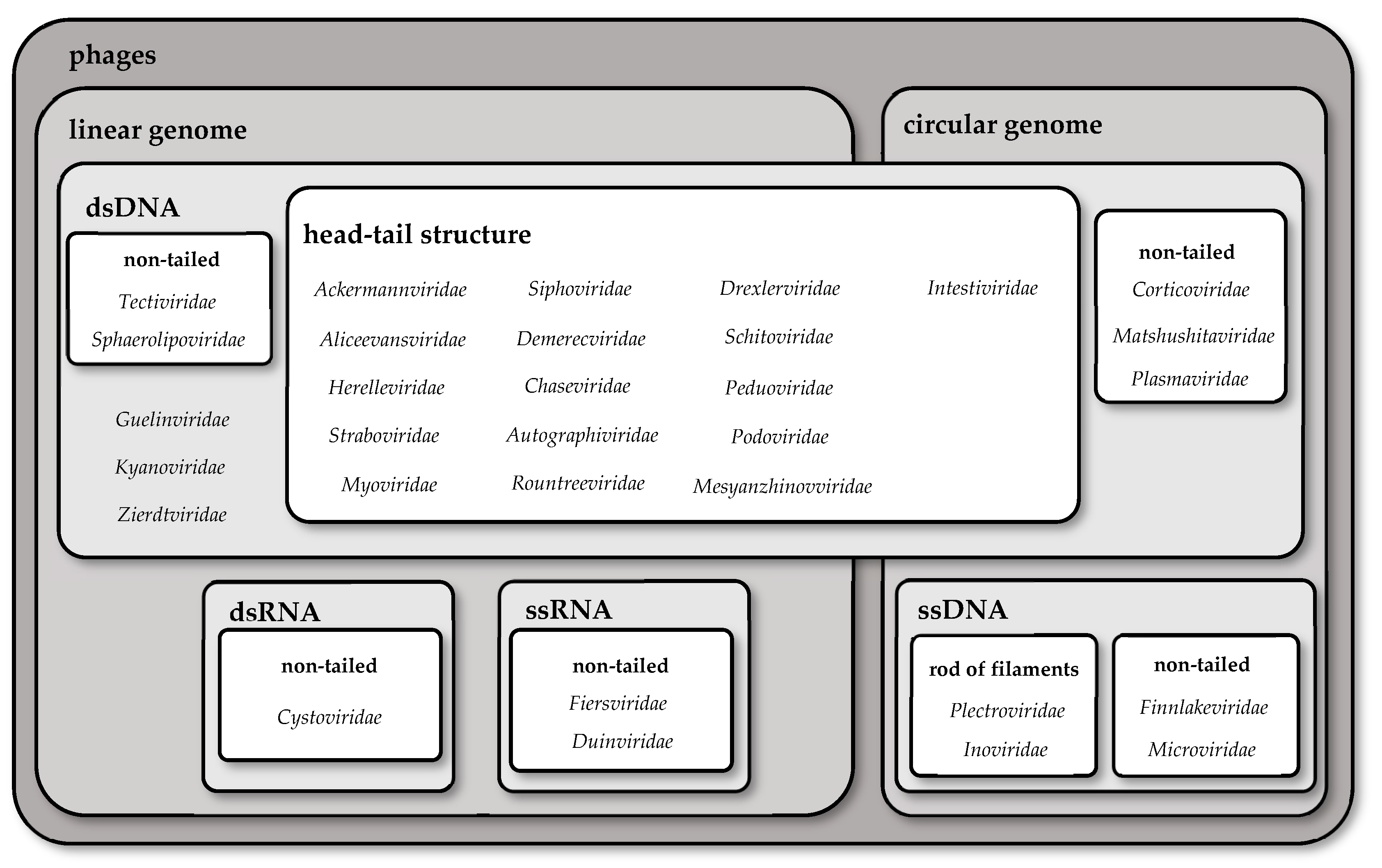Pathogens 13 00152 g002