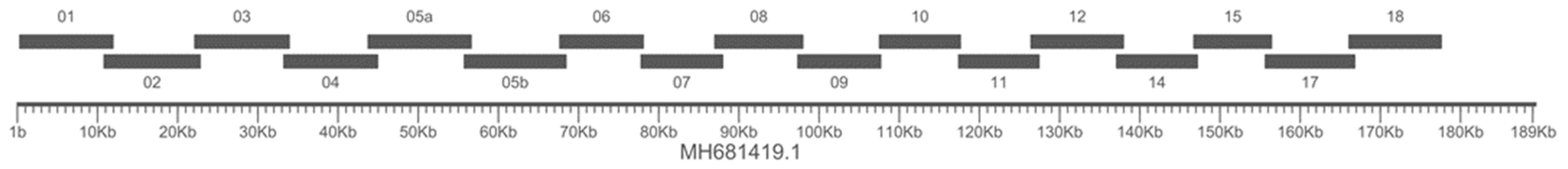 Pathogens 13 00154 g002