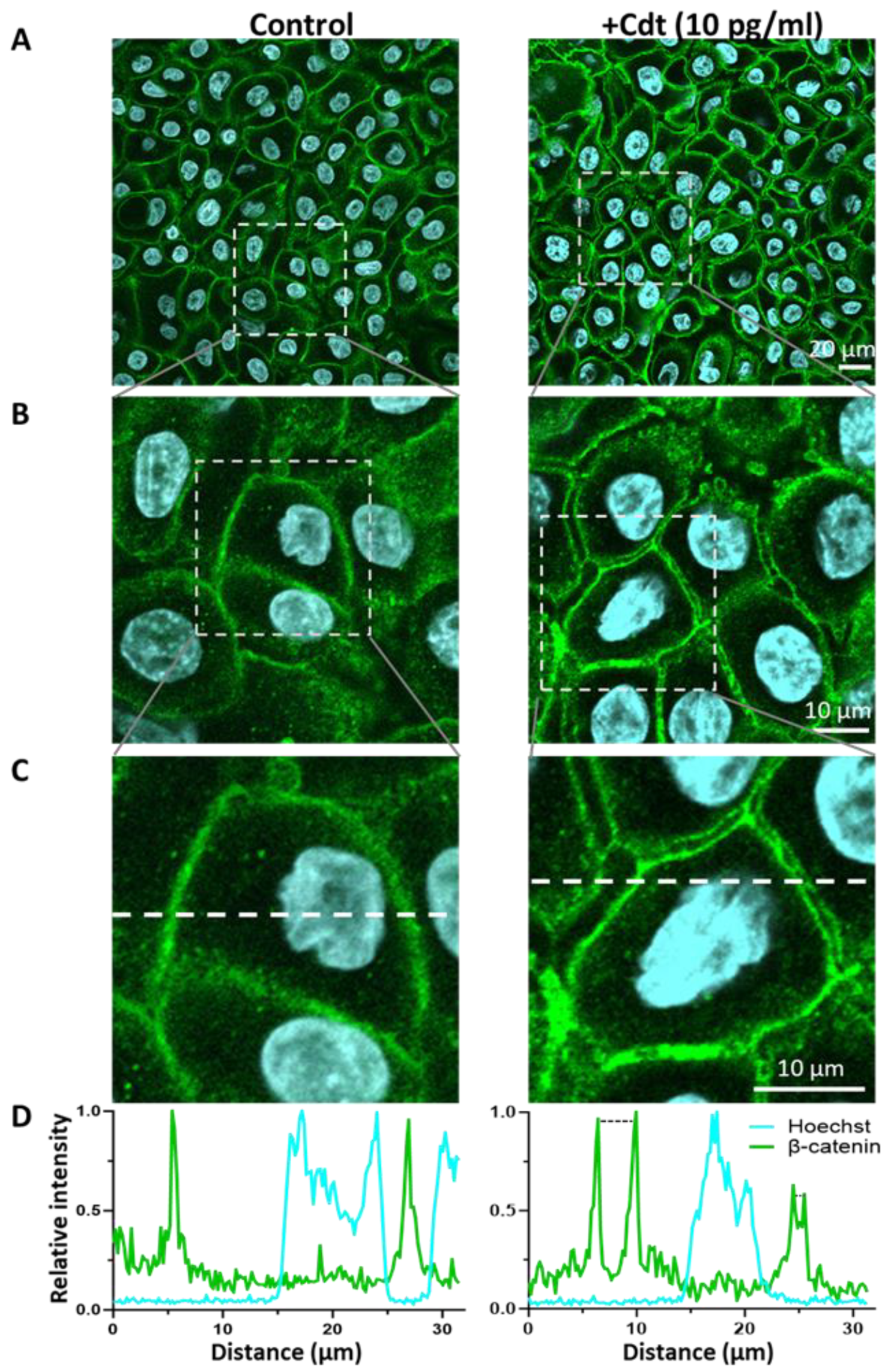 Pathogens 13 00155 g005 Pathogens 13 00155 g005