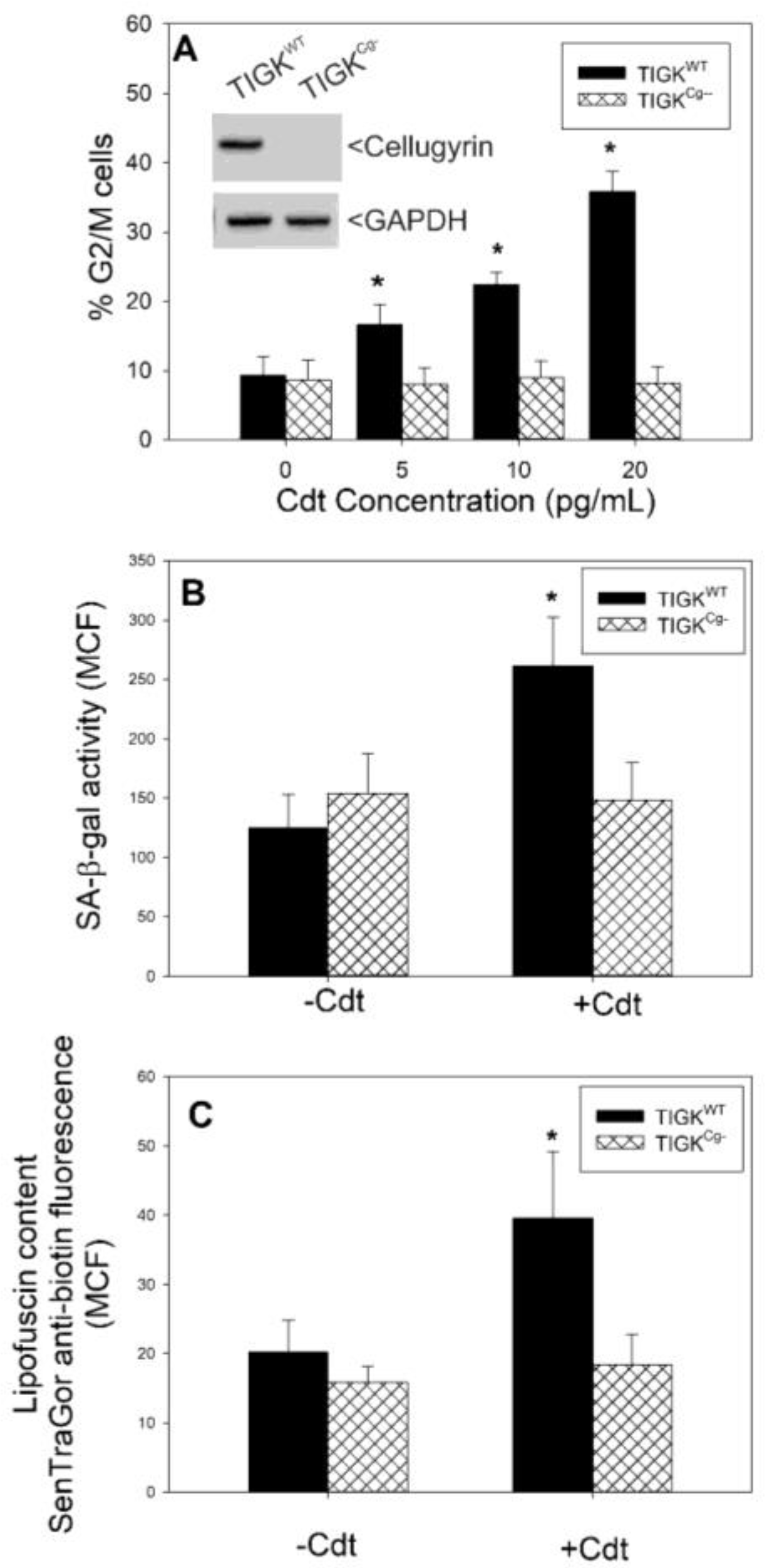 Pathogens 13 00155 g006 Pathogens 13 00155 g006
