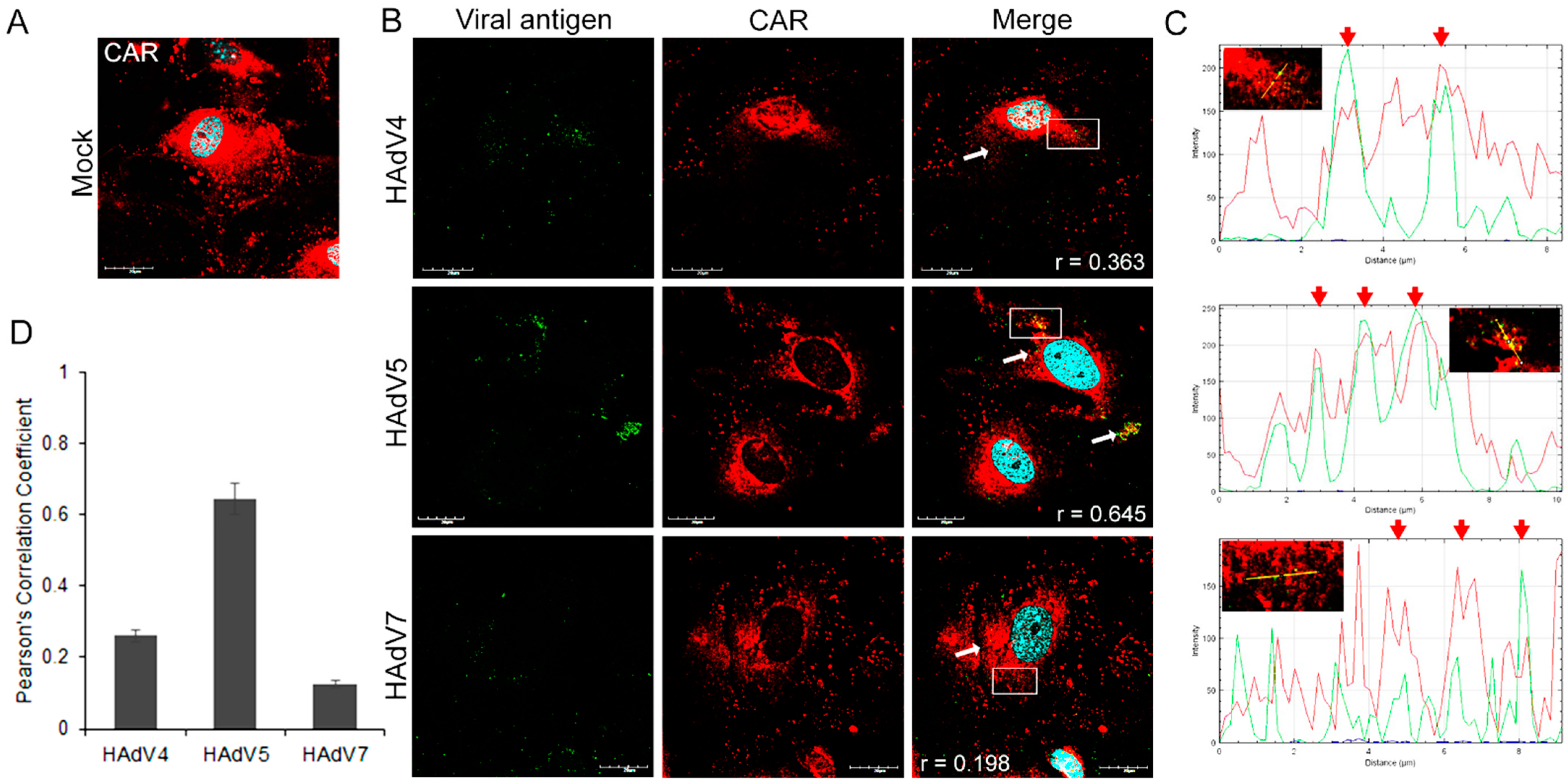 Pathogens 13 00158 g001