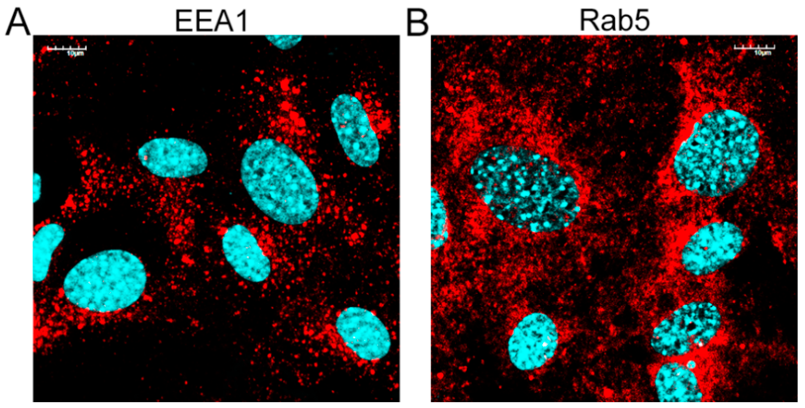 Pathogens 13 00158 g004