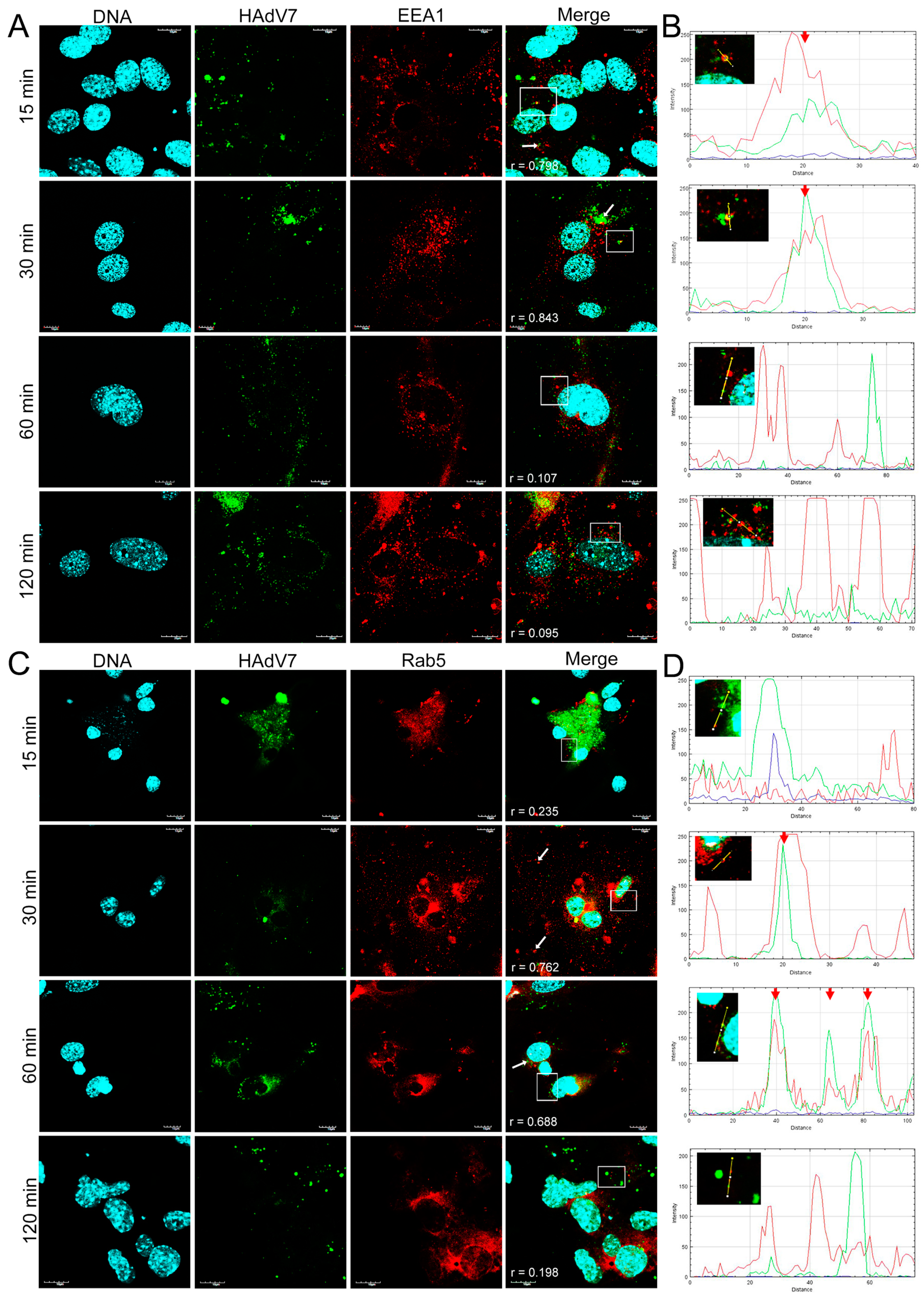 Pathogens 13 00158 g007