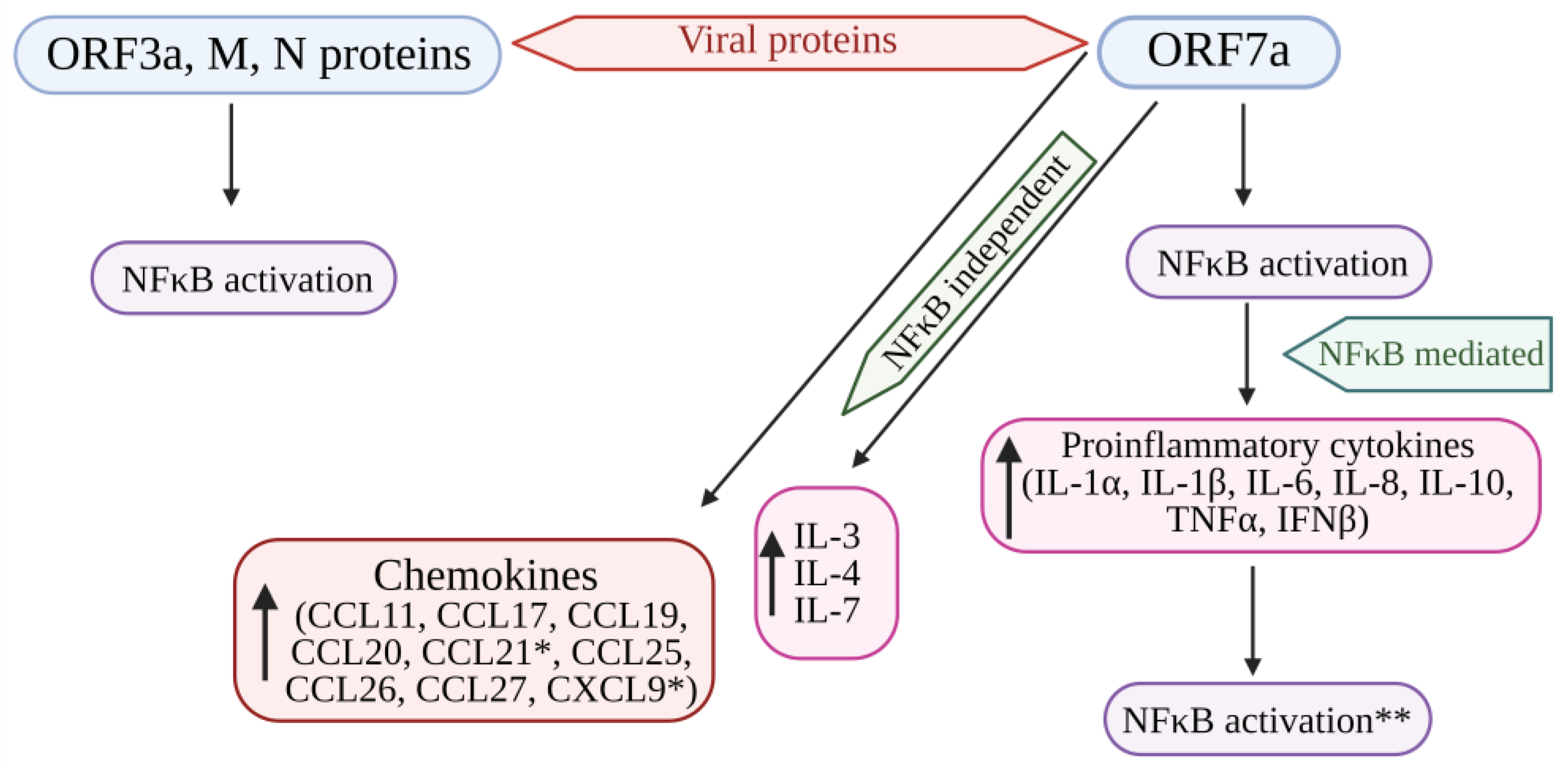 Pathogens 13 00164 g004 Pathogens 13 00164 g004