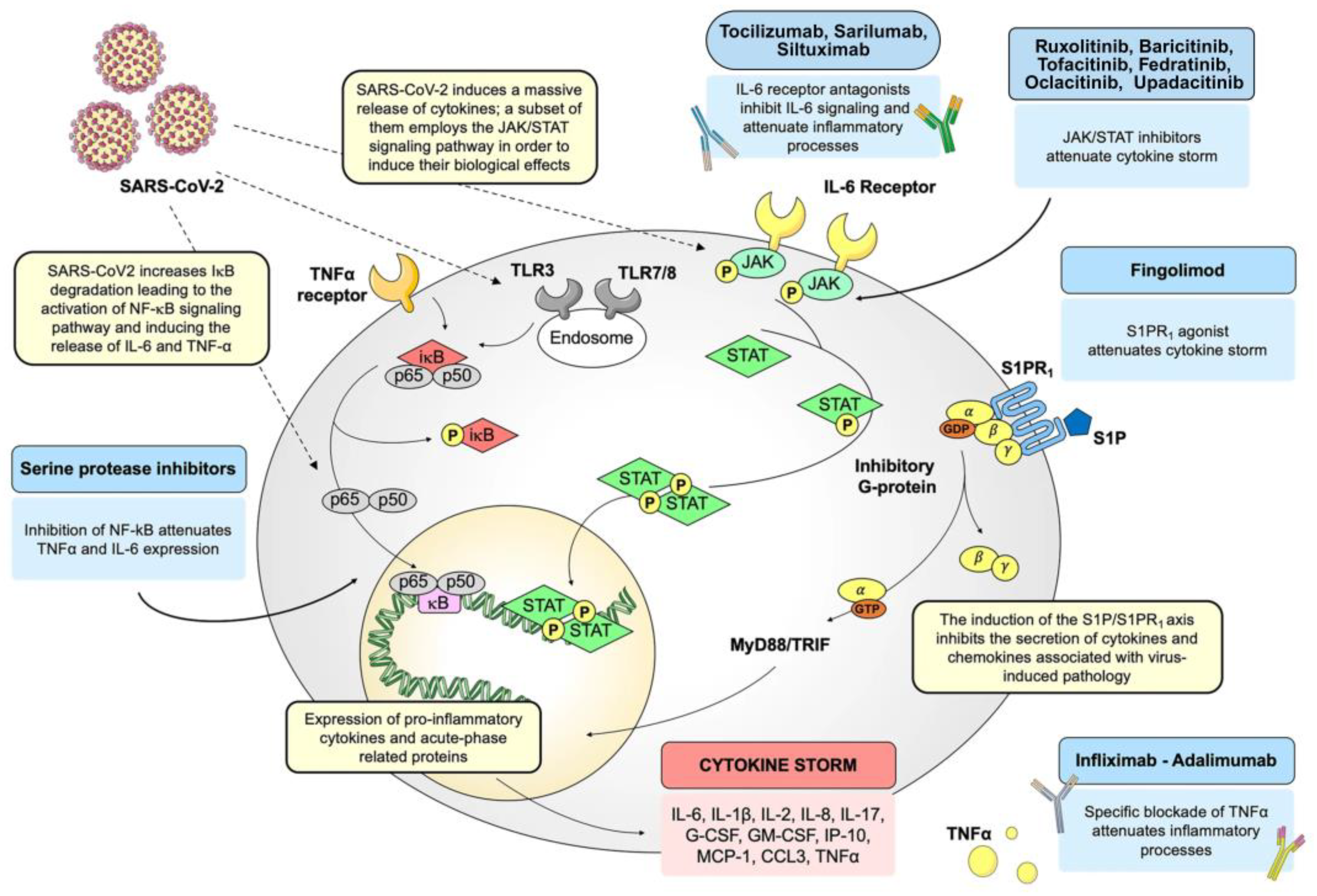 Pathogens 13 00164 g005 Pathogens 13 00164 g005