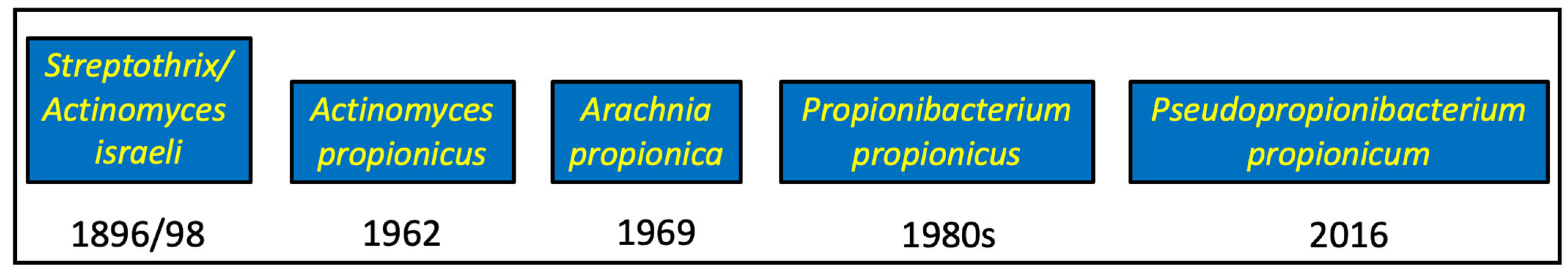 Pathogens 13 00165 g006