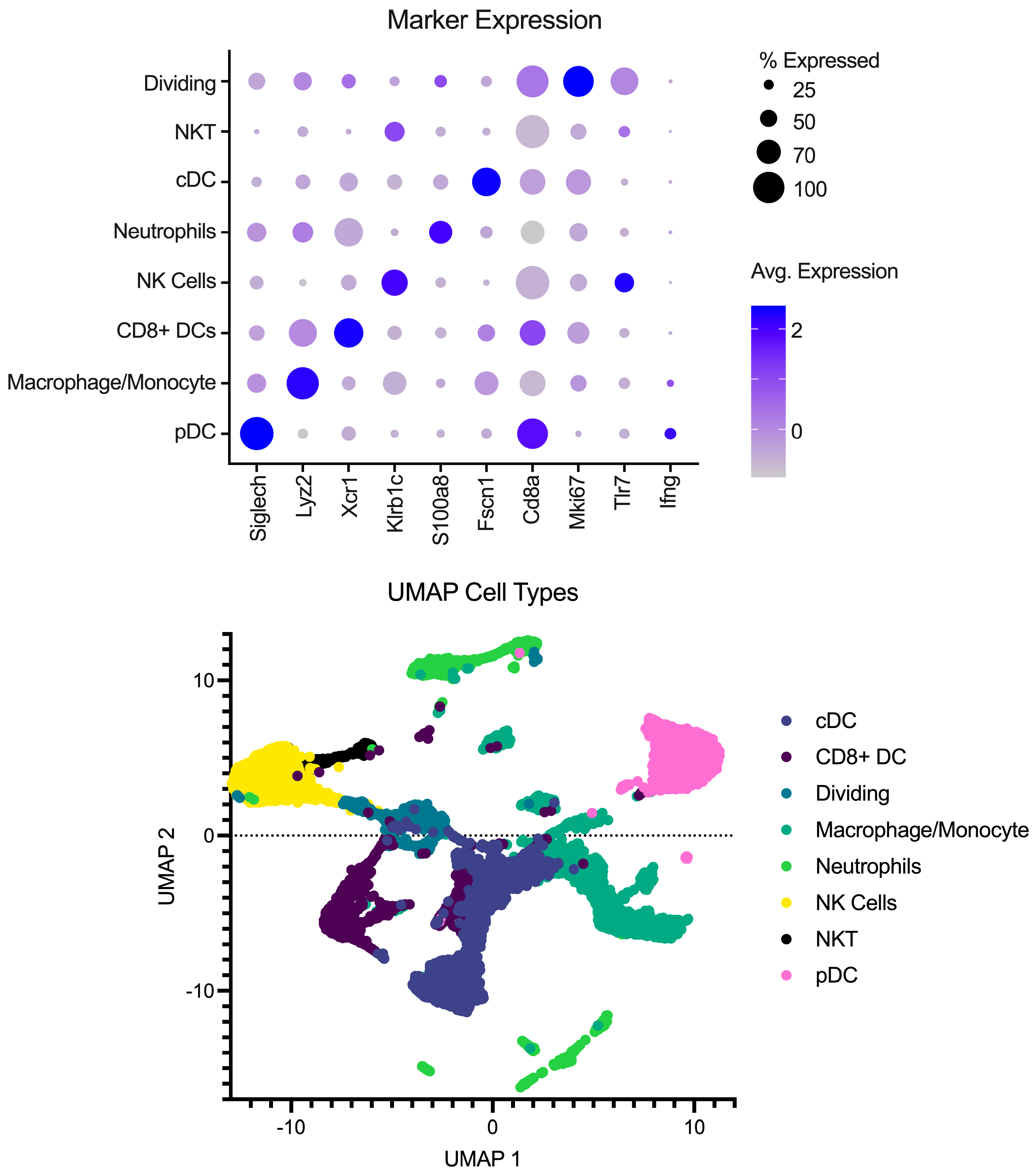 Pathogens 13 00167 g001