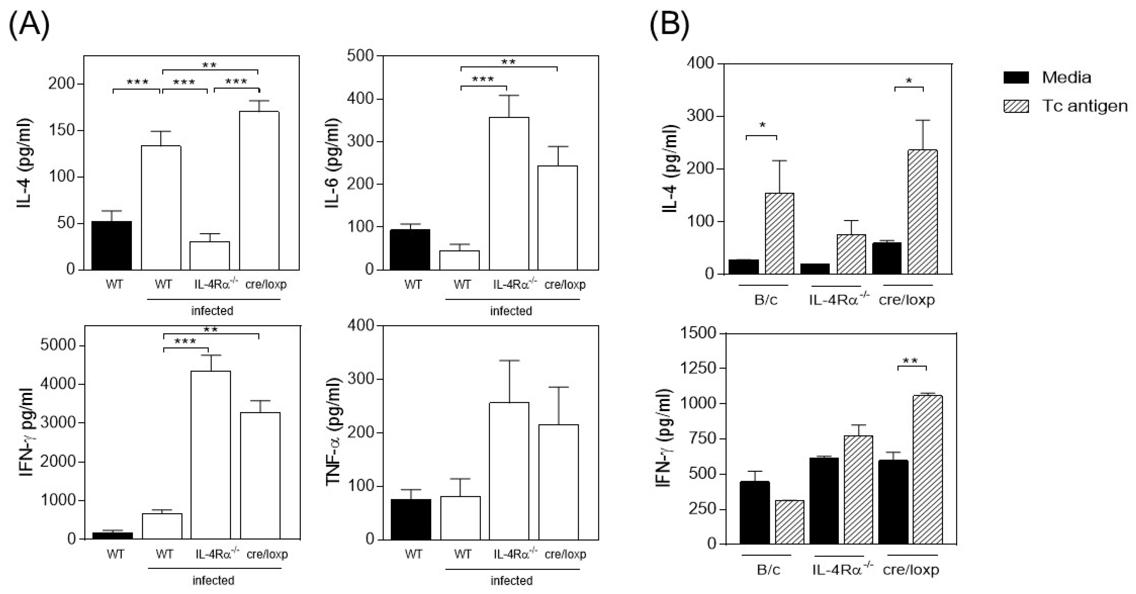 Pathogens 13 00169 g002