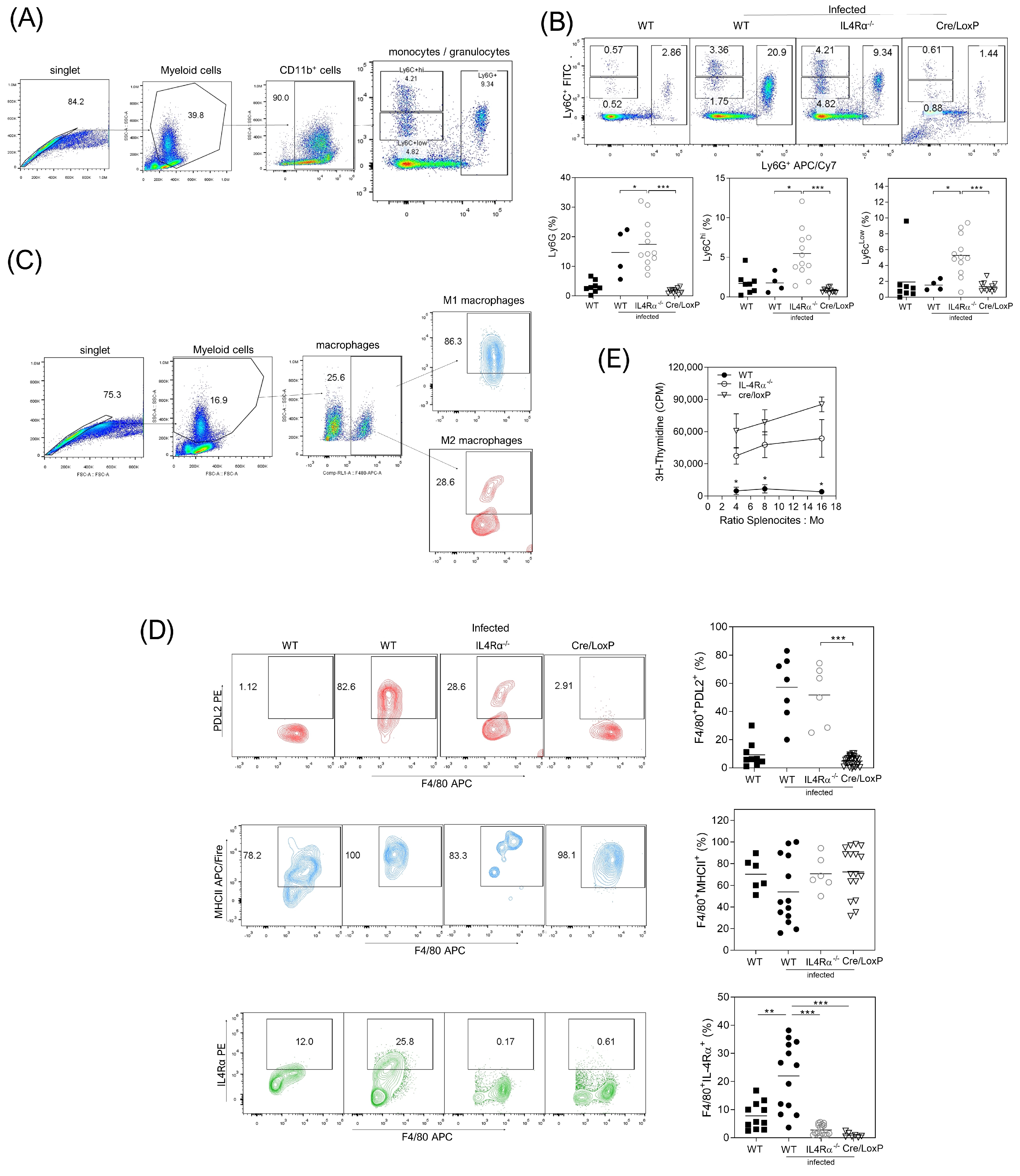 Pathogens 13 00169 g004