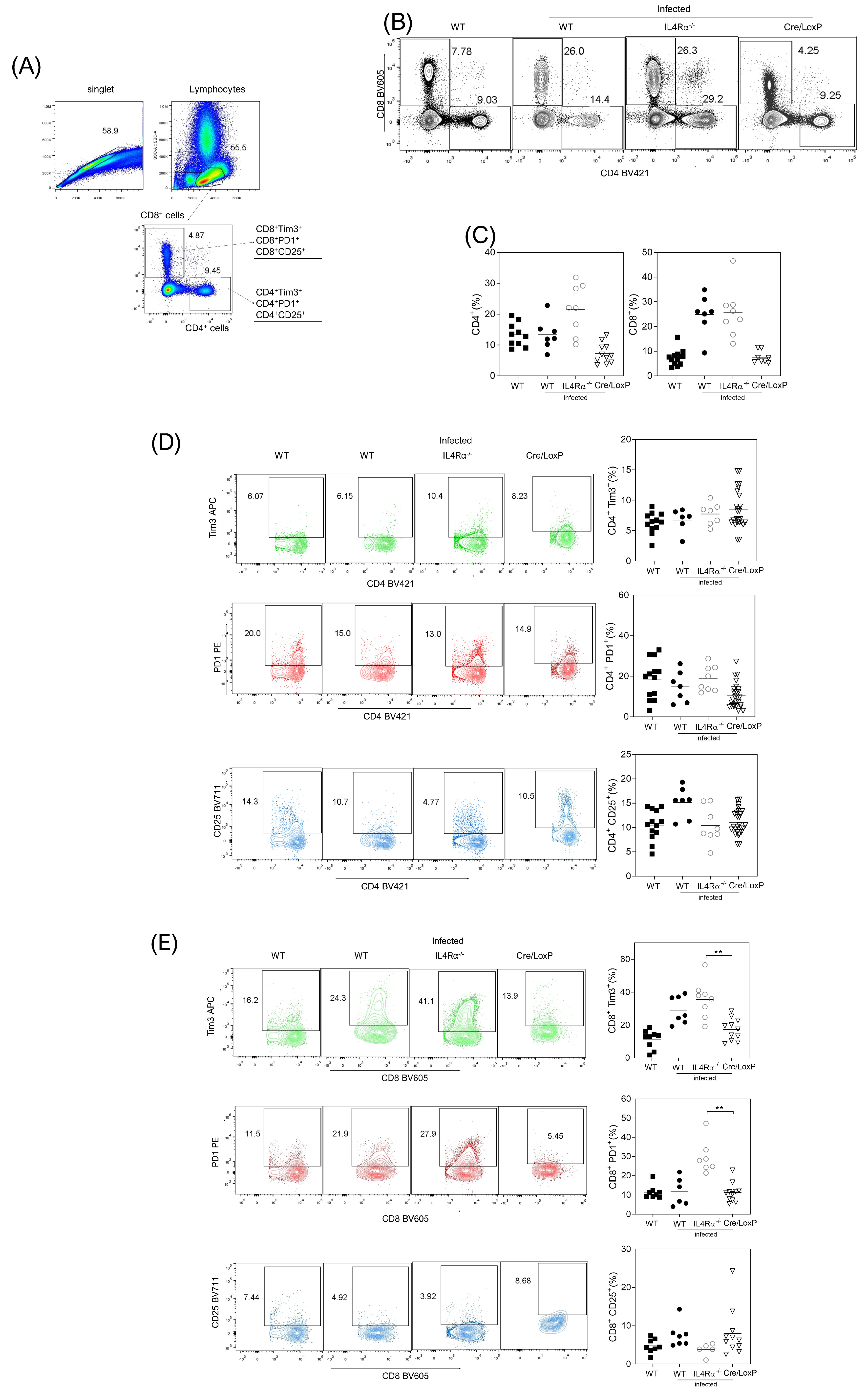Pathogens 13 00169 g005